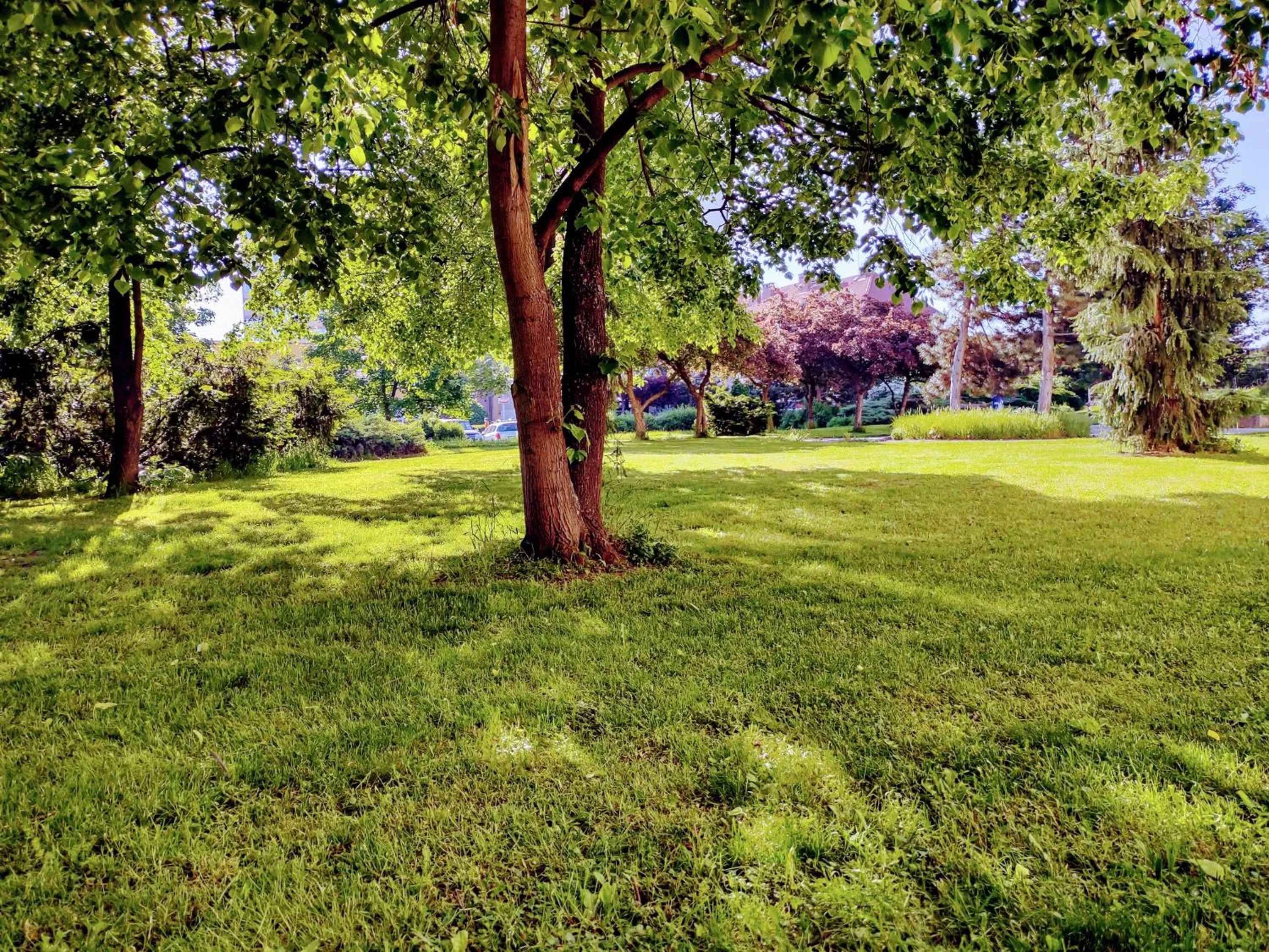 Garden in University Hotel