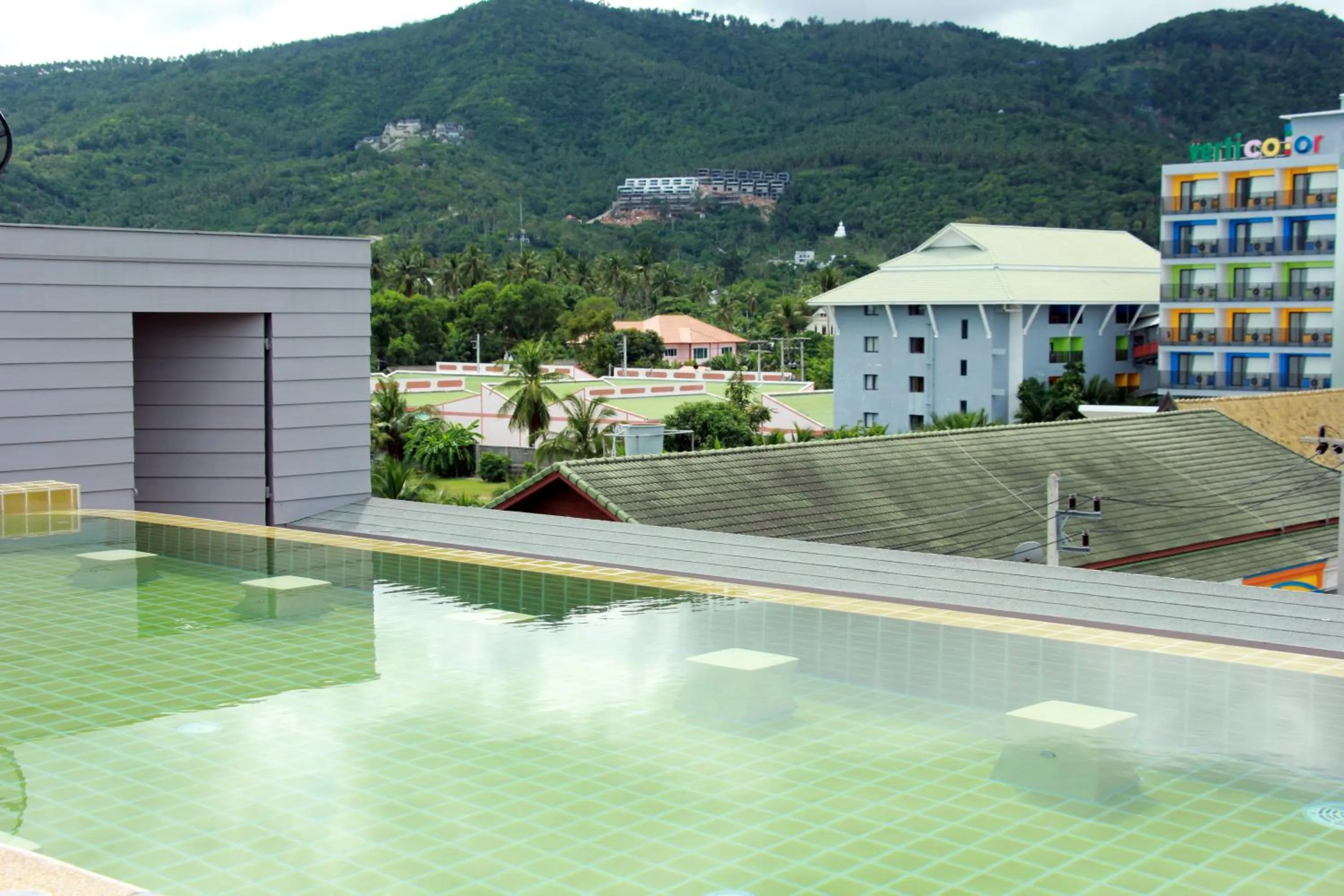 Swimming pool in Cheeky Monkey's Samui