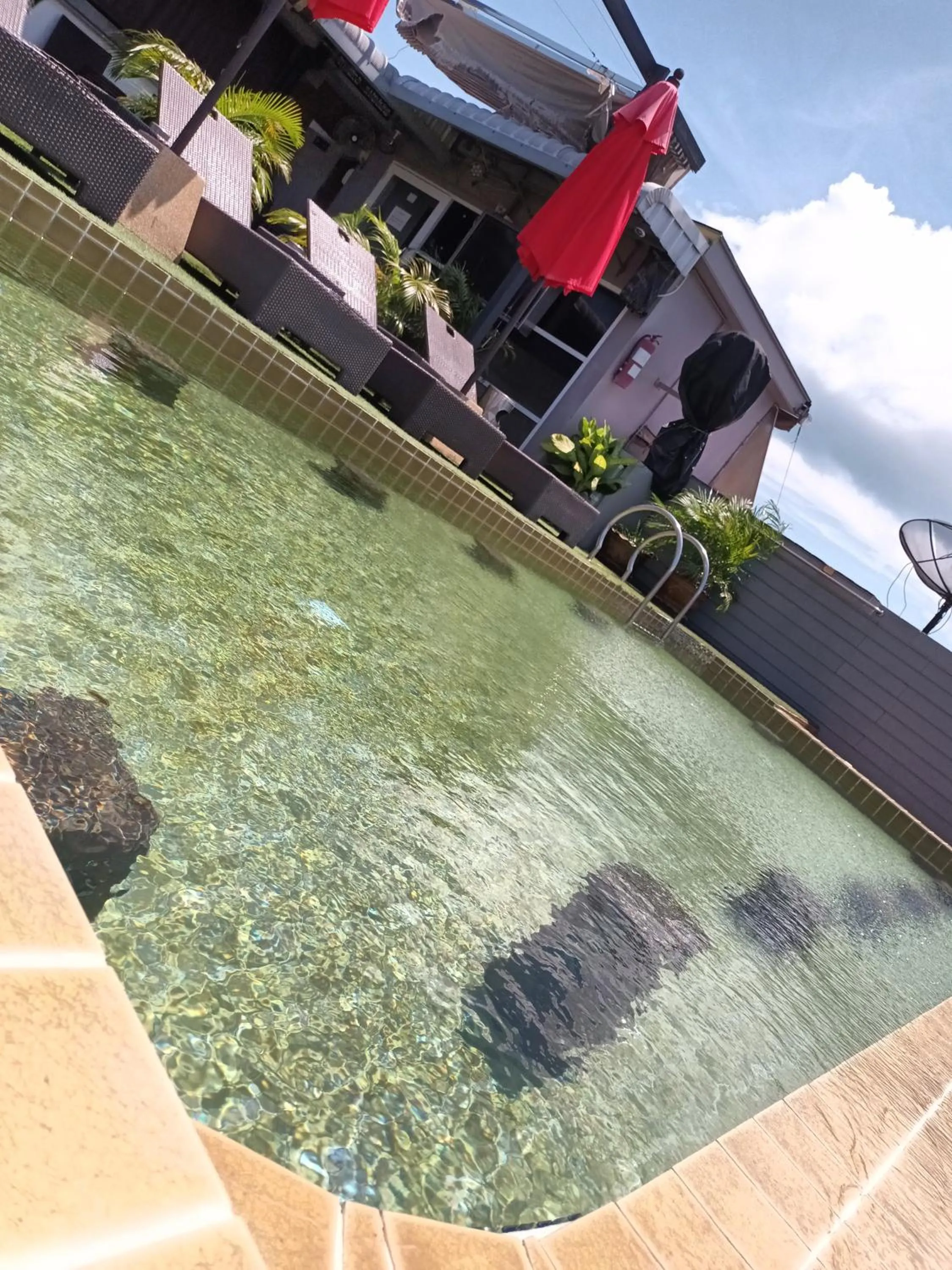 Day in Cheeky Monkey's Samui