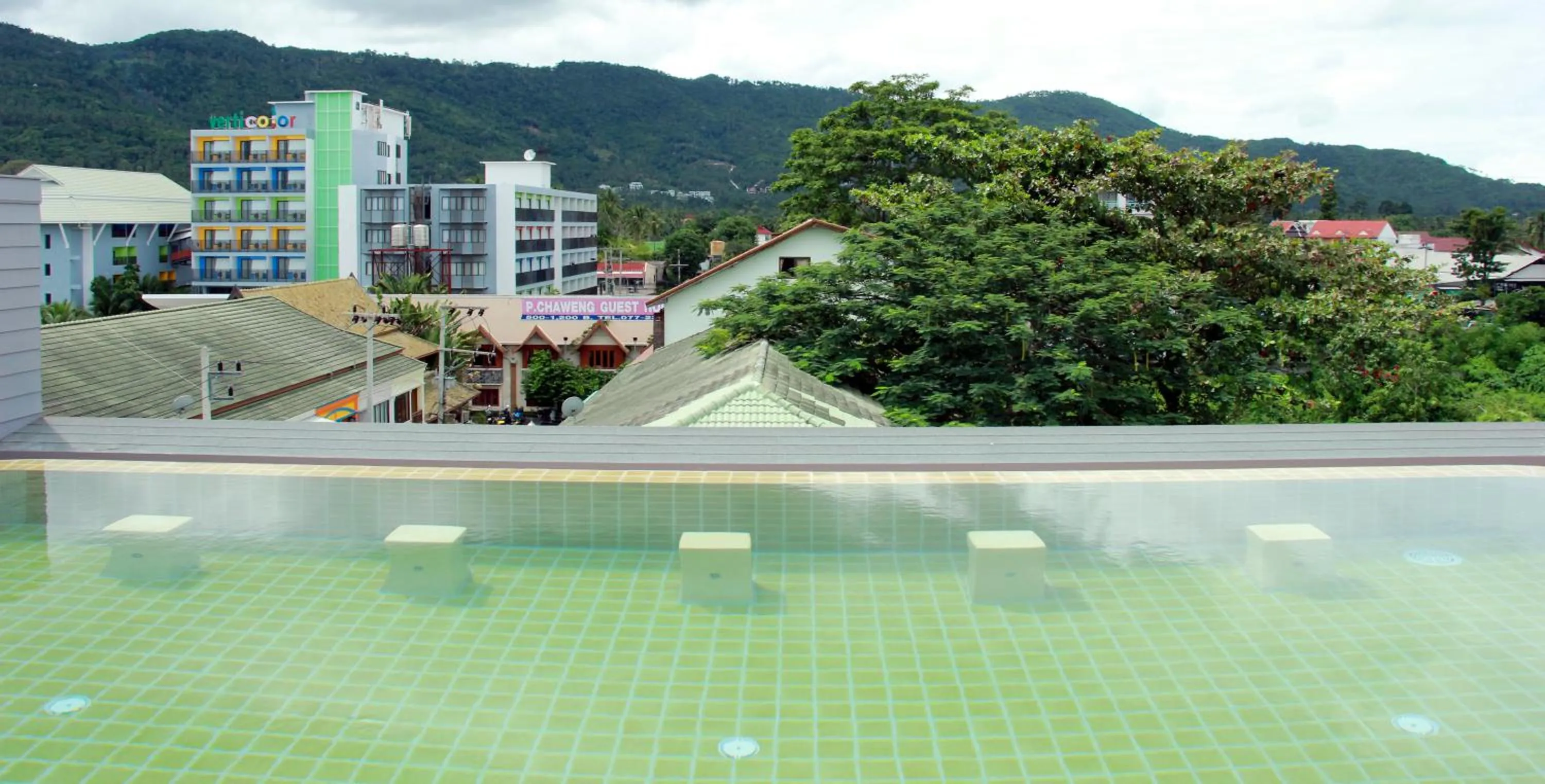 Day in Cheeky Monkey's Samui