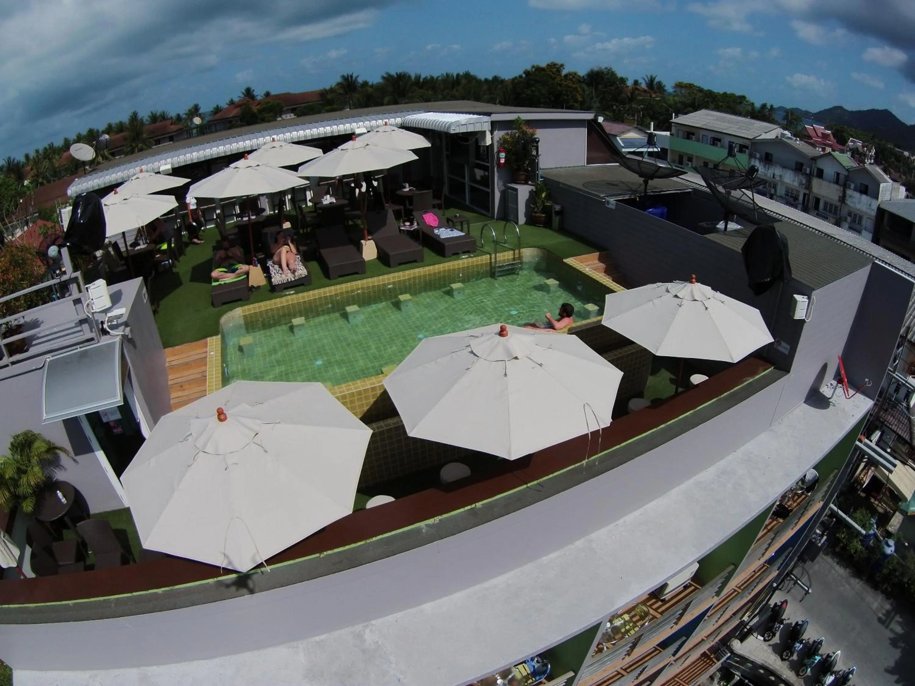 Day in Cheeky Monkey's Samui