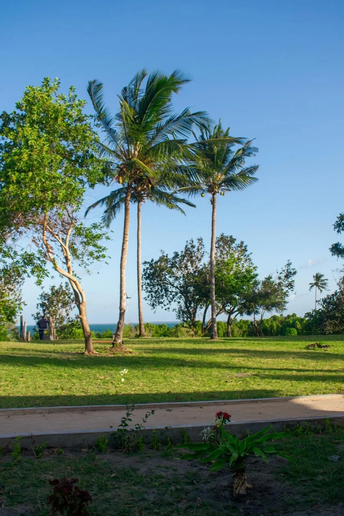 Utende Seacliff Resort