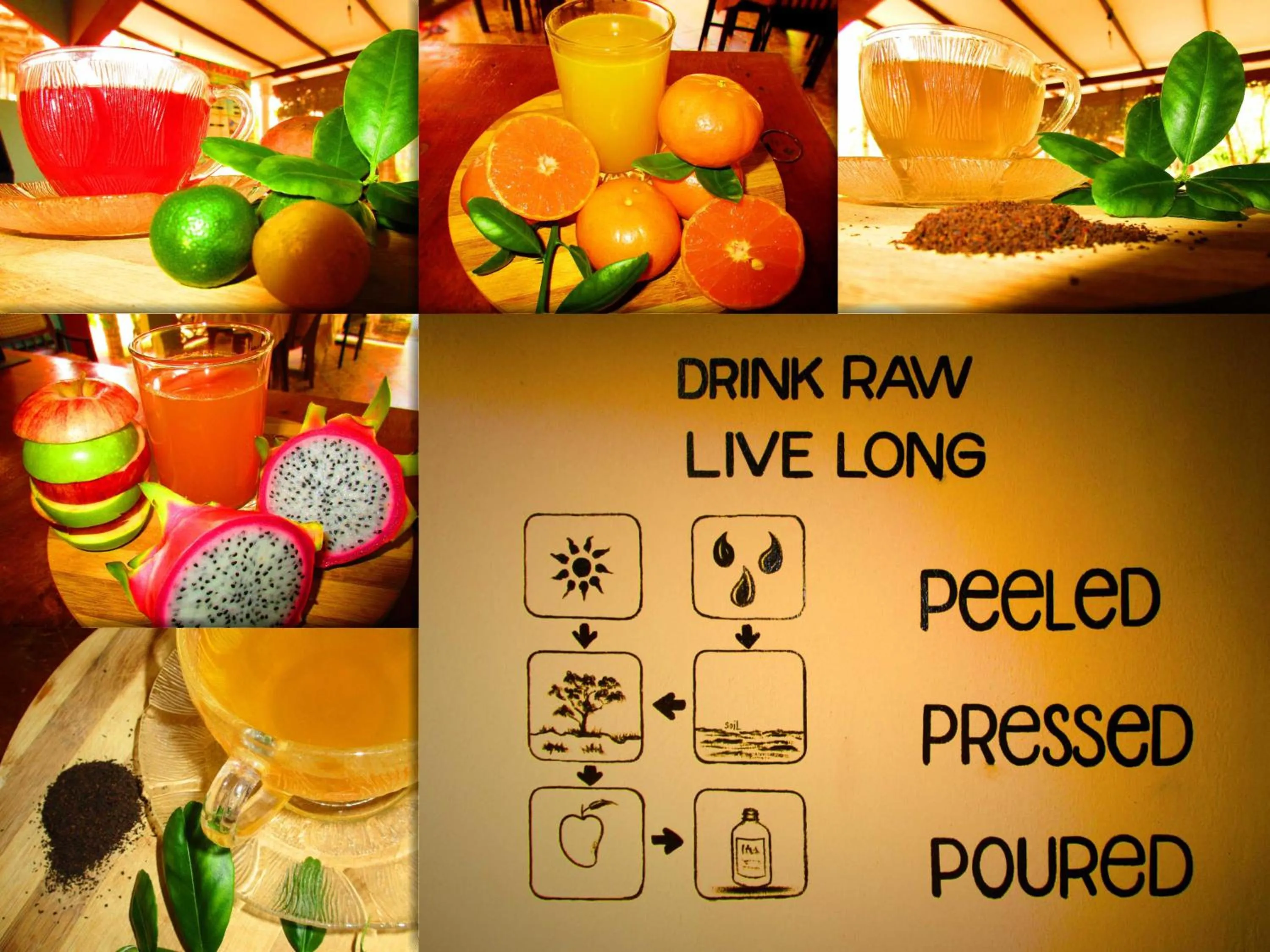 Food and drinks in Tamara Motels