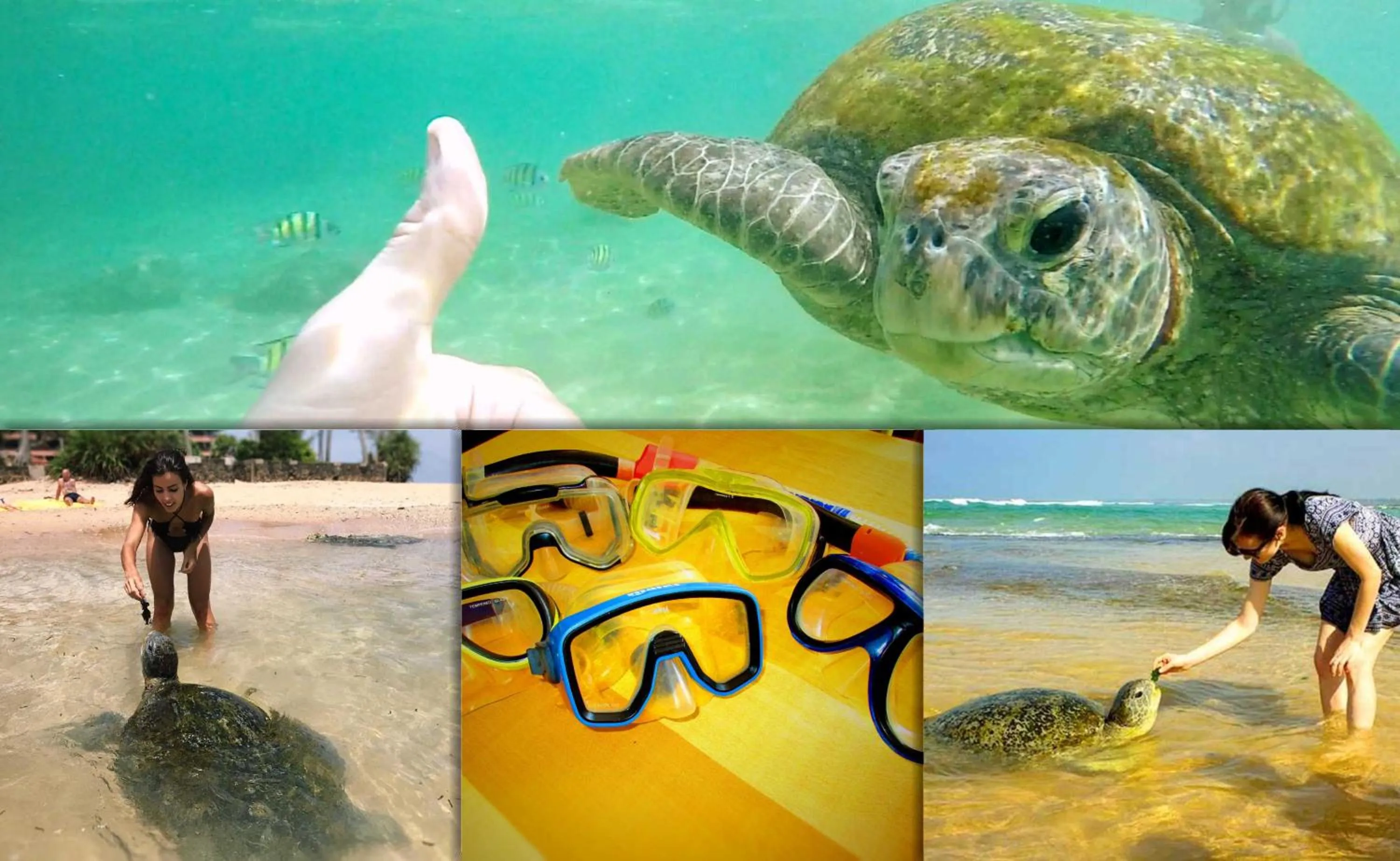 Off site in Tamara Motels