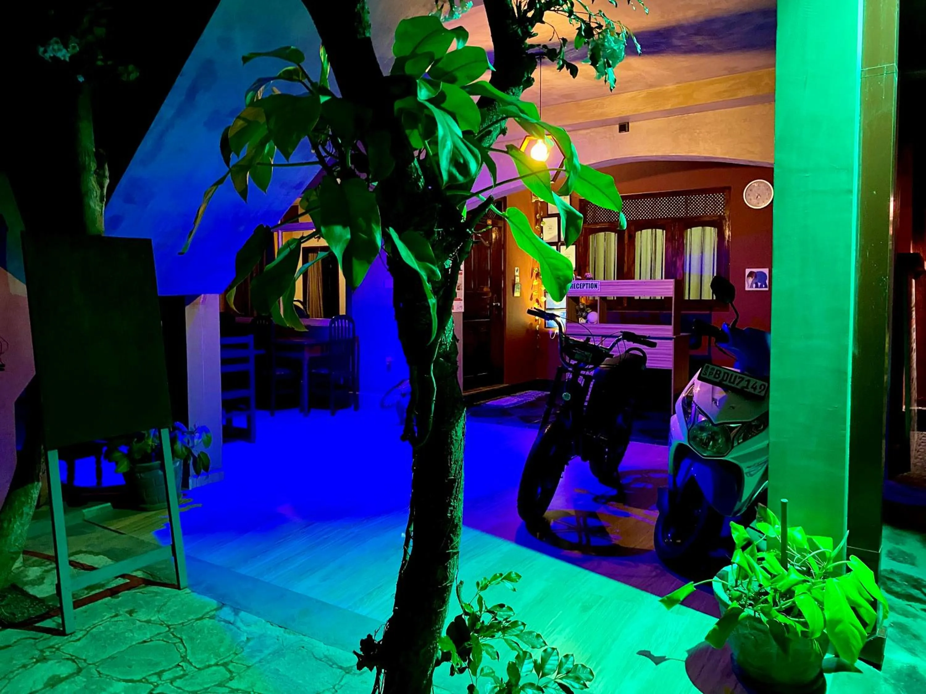 Facade/entrance in Tamara Motels