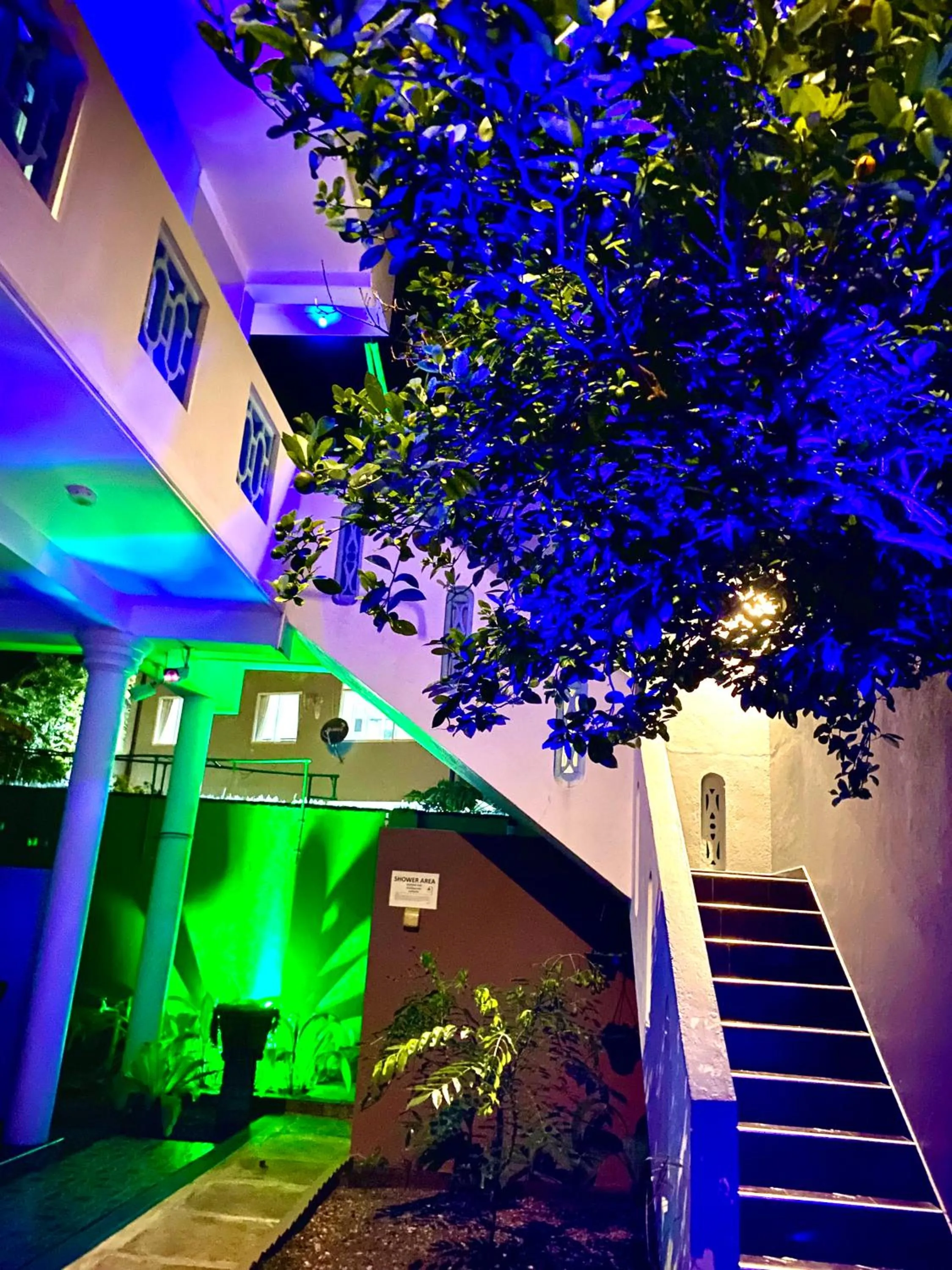 Night in Tamara Motels