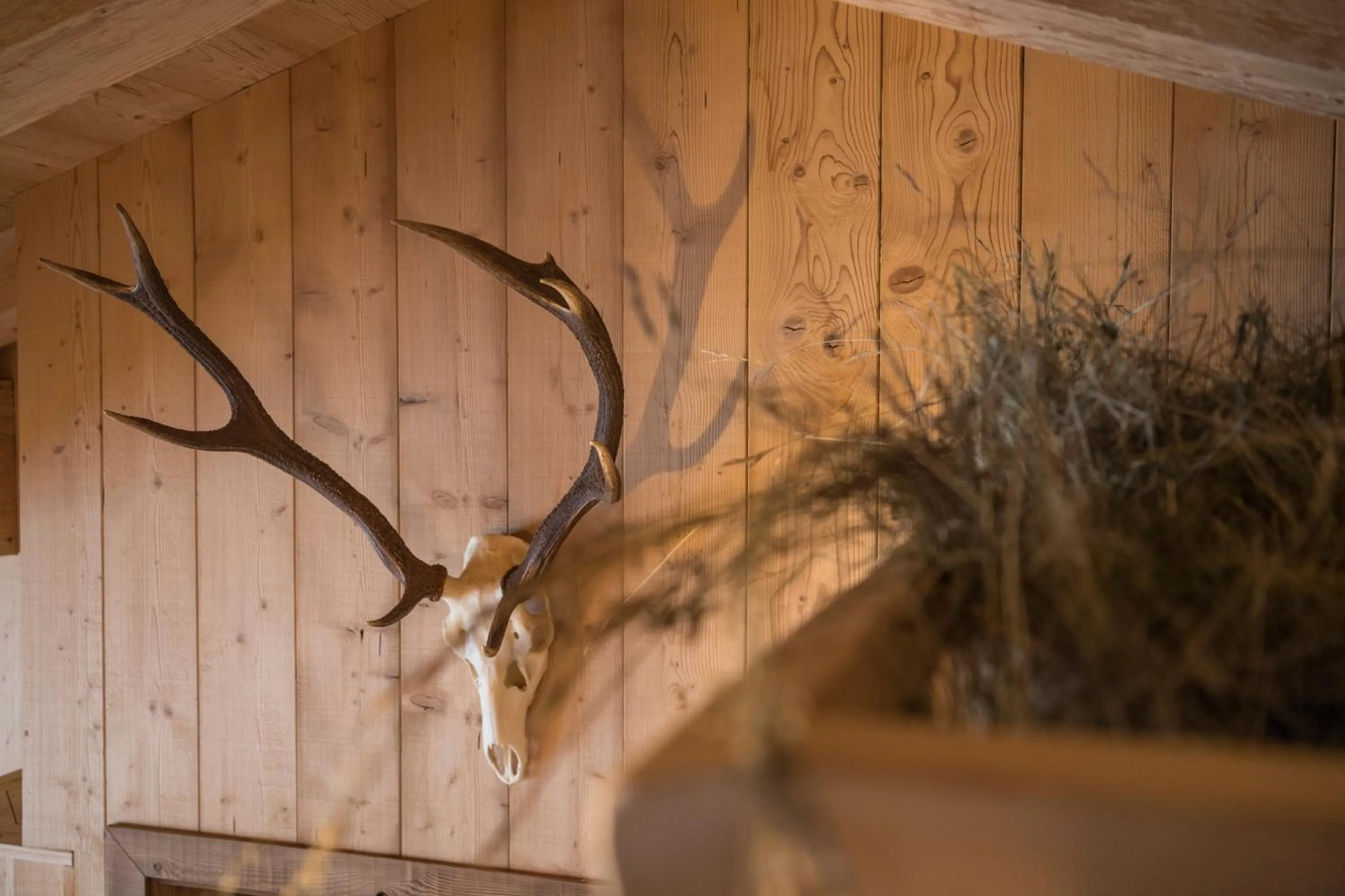 Other in ArlBerglife Ferienresort