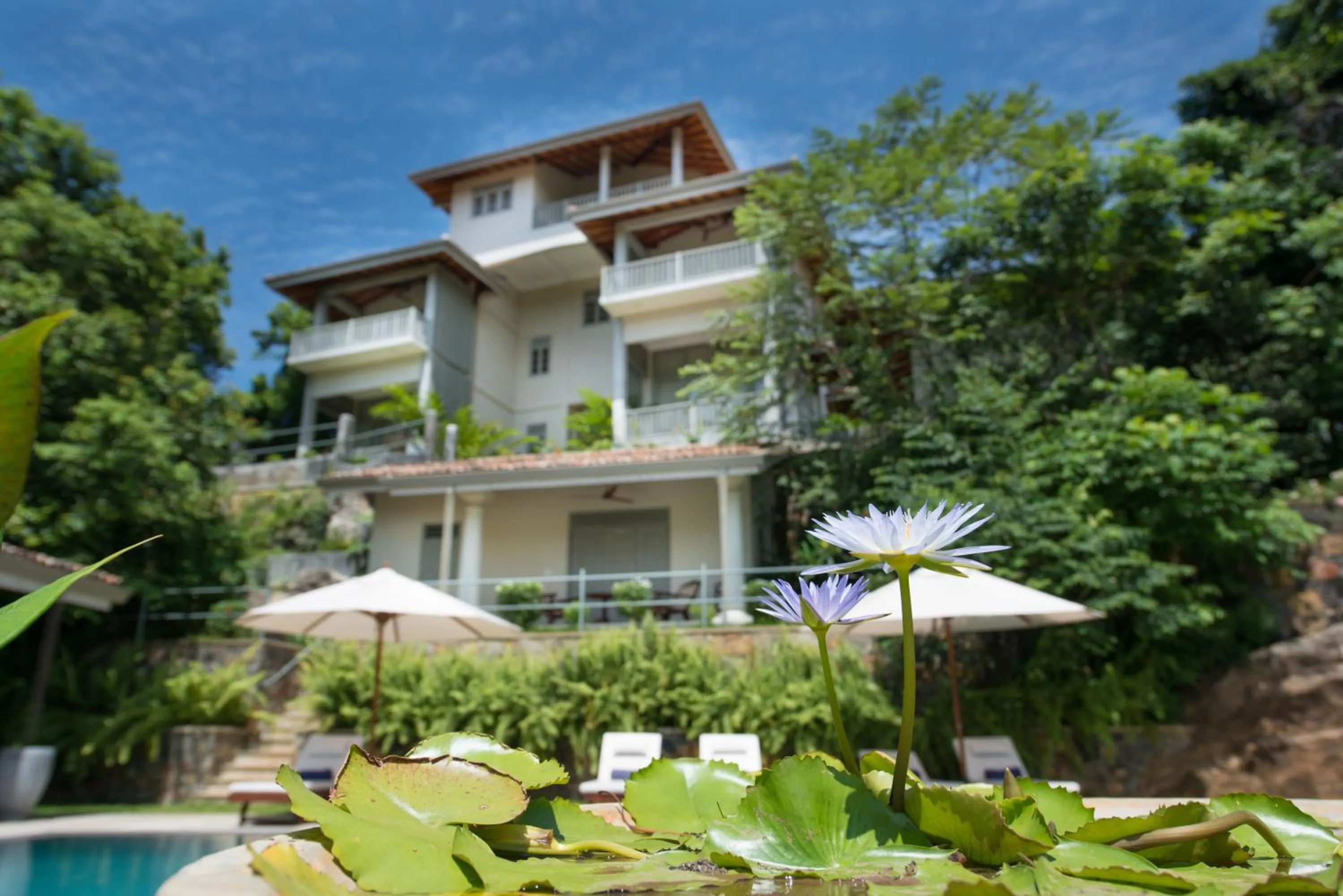 Garden view in The Horizon Hill Top Villa