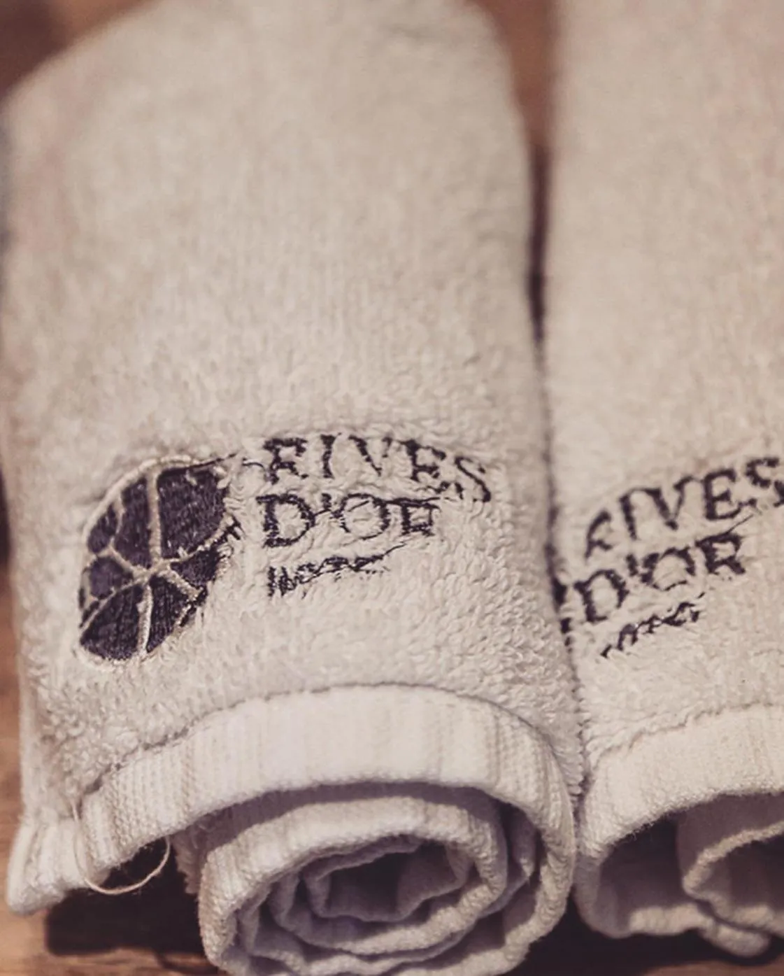 Property logo or sign in Rives d'Or Hôtel