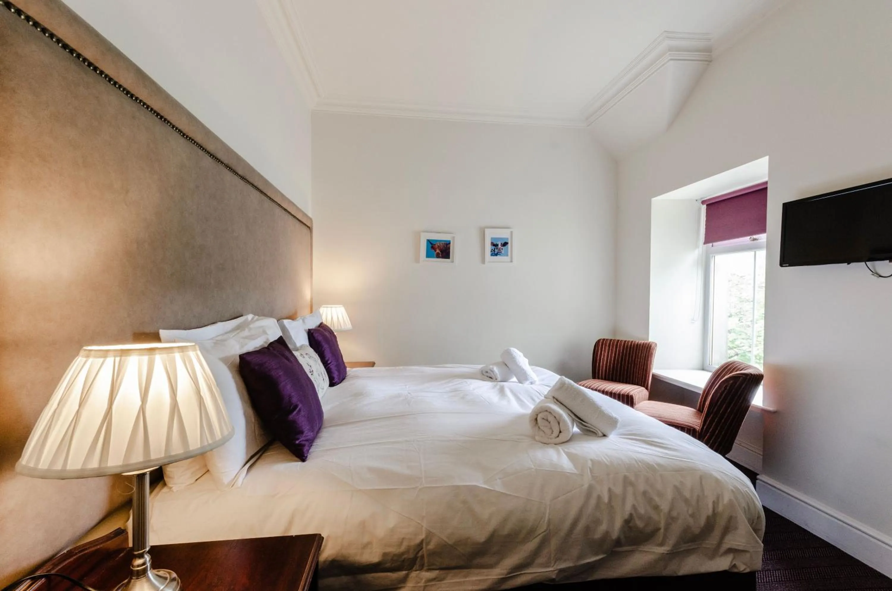 Bed in The Park, Aviemore