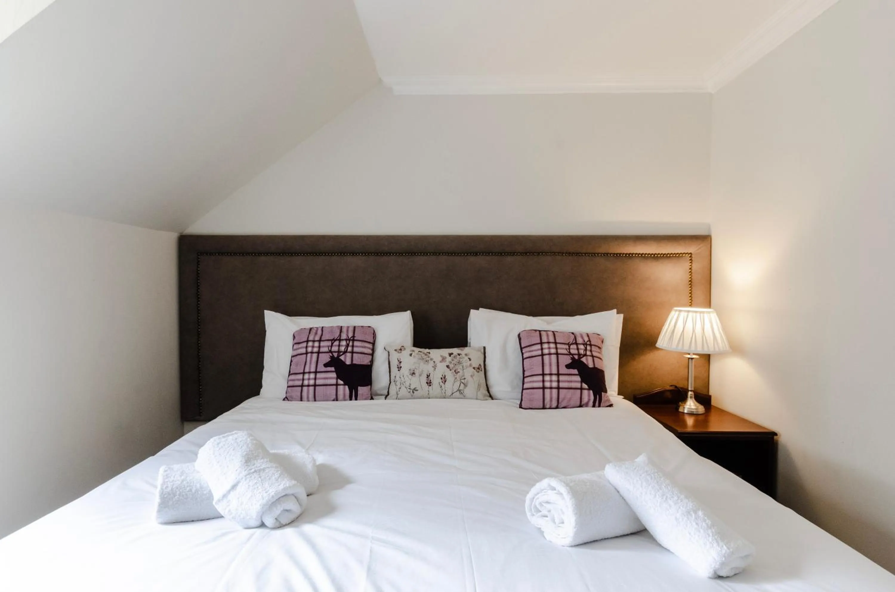 Bed in The Park, Aviemore