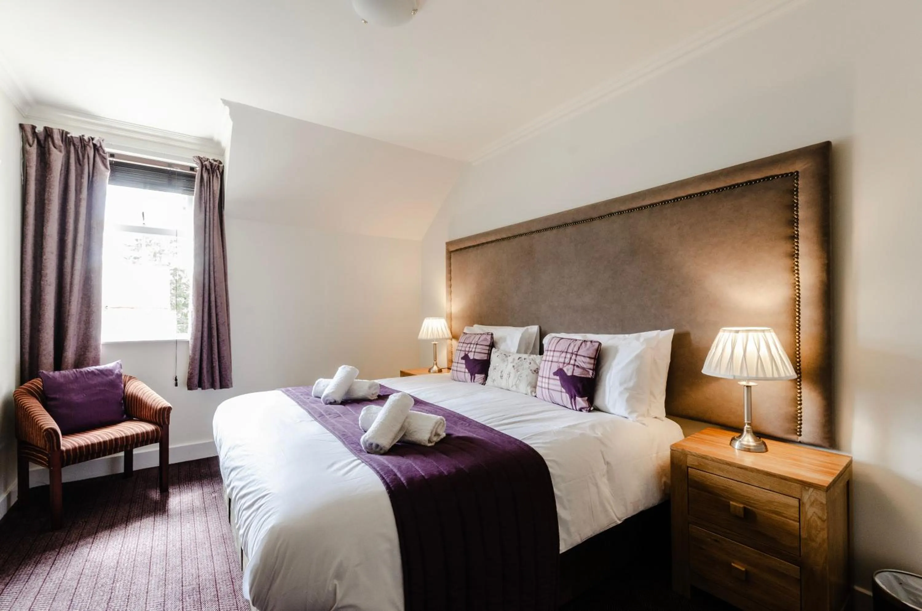 Bed in The Park, Aviemore