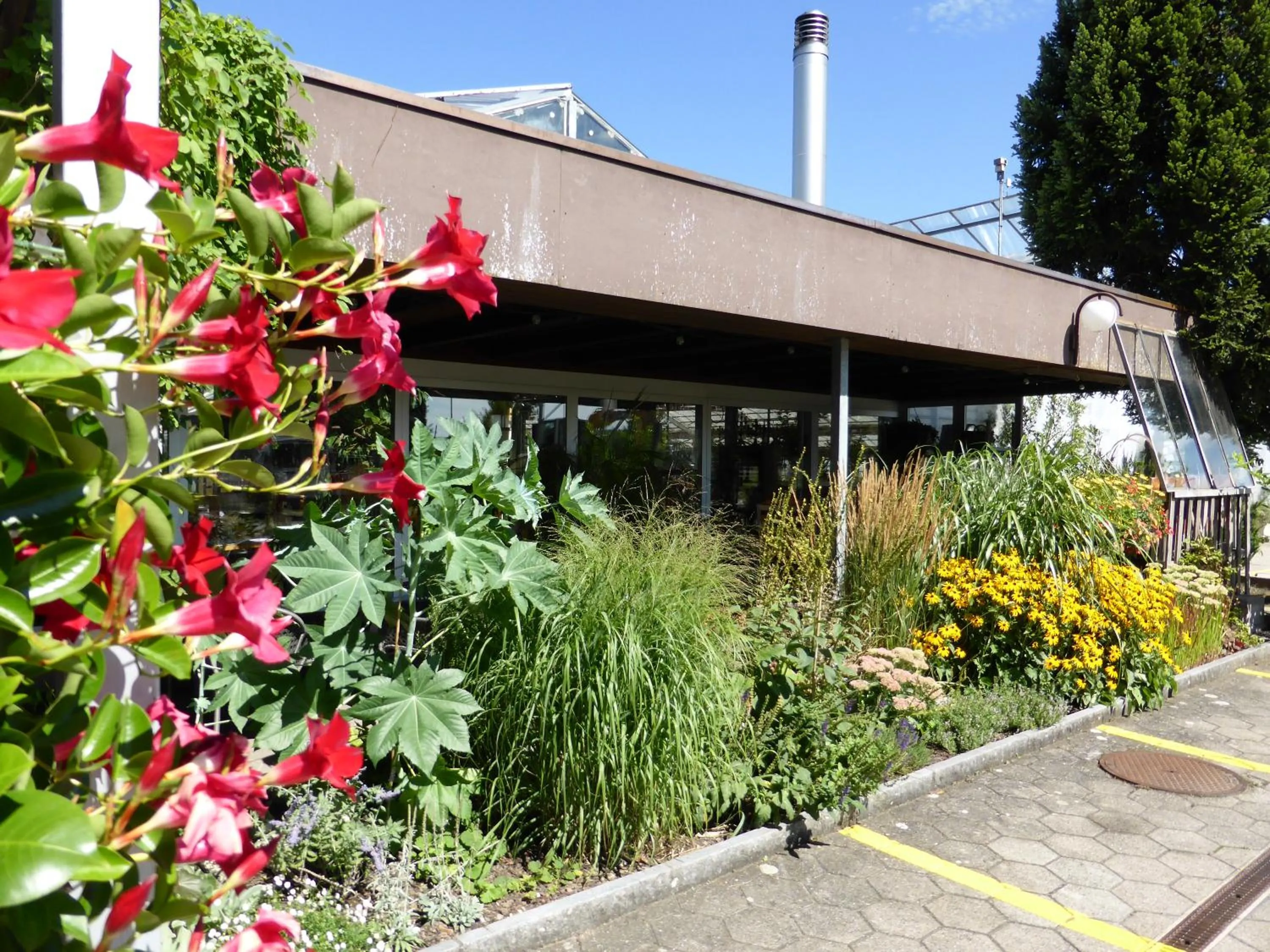 Hotel Alte Gärtnerei