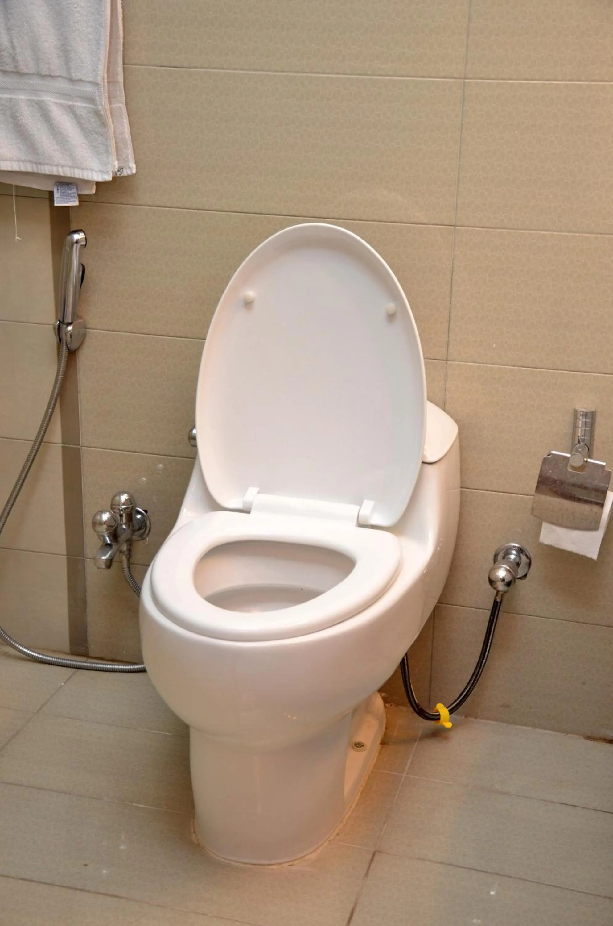 Toilet in Gofas Lodge