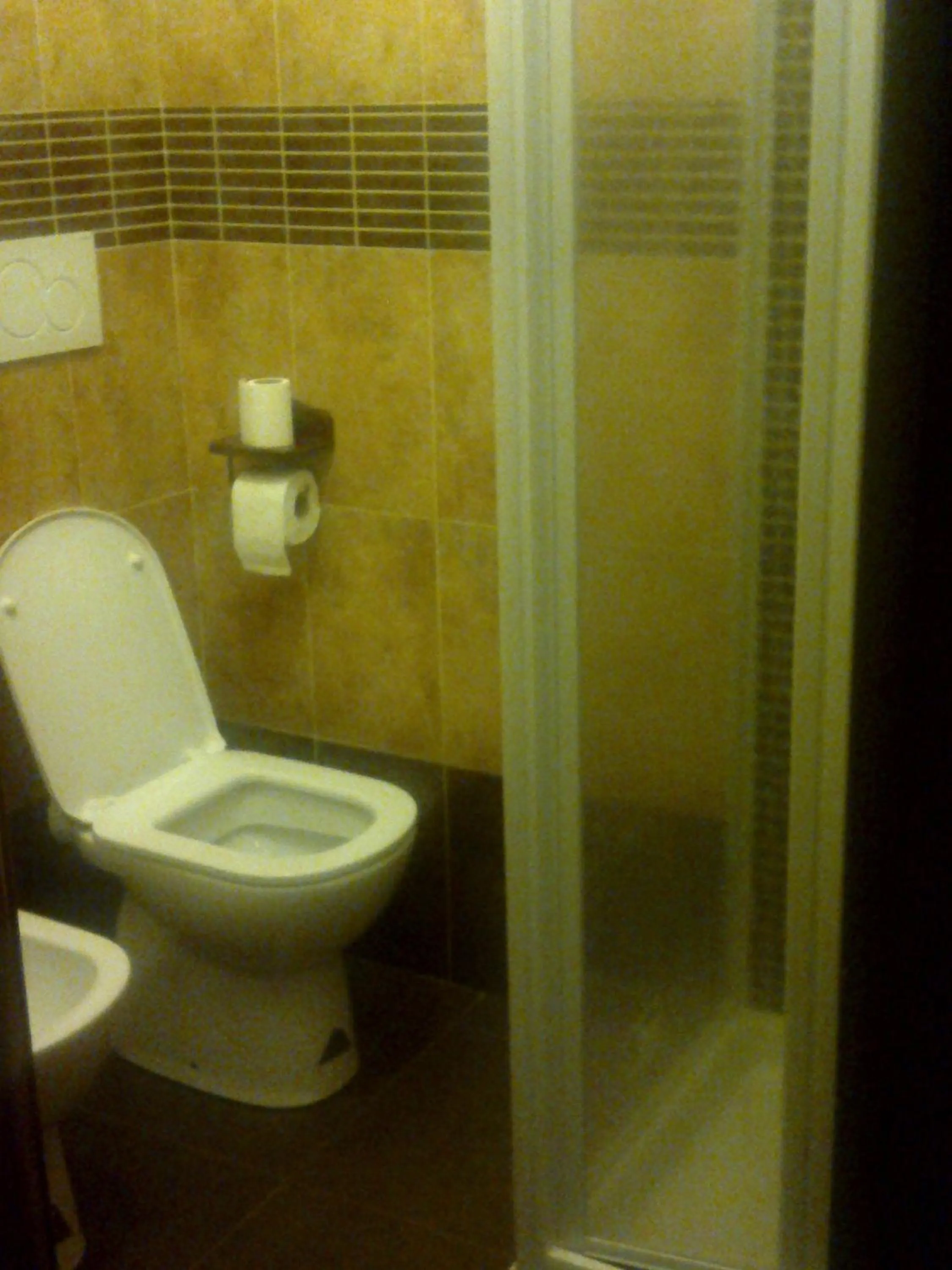 Toilet in Pitagora House