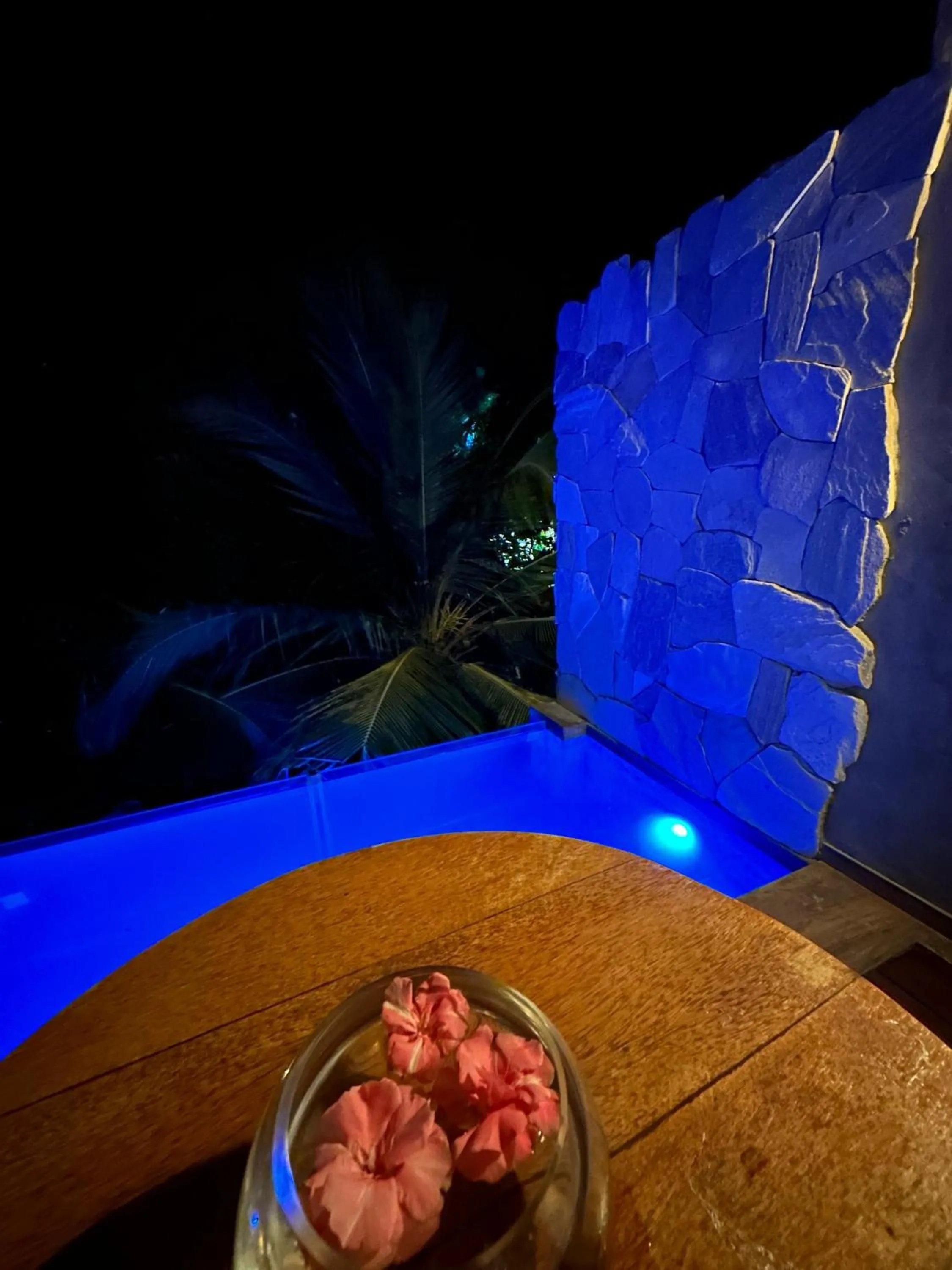 Pool view in Villa Pantai Boutique Hotel Atins