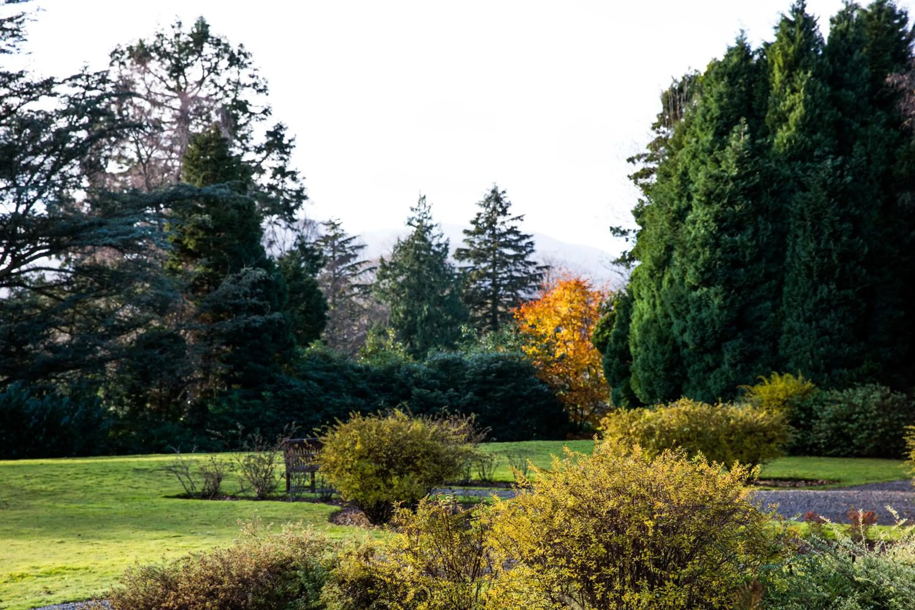 Garden in Keswick Country House Hotel