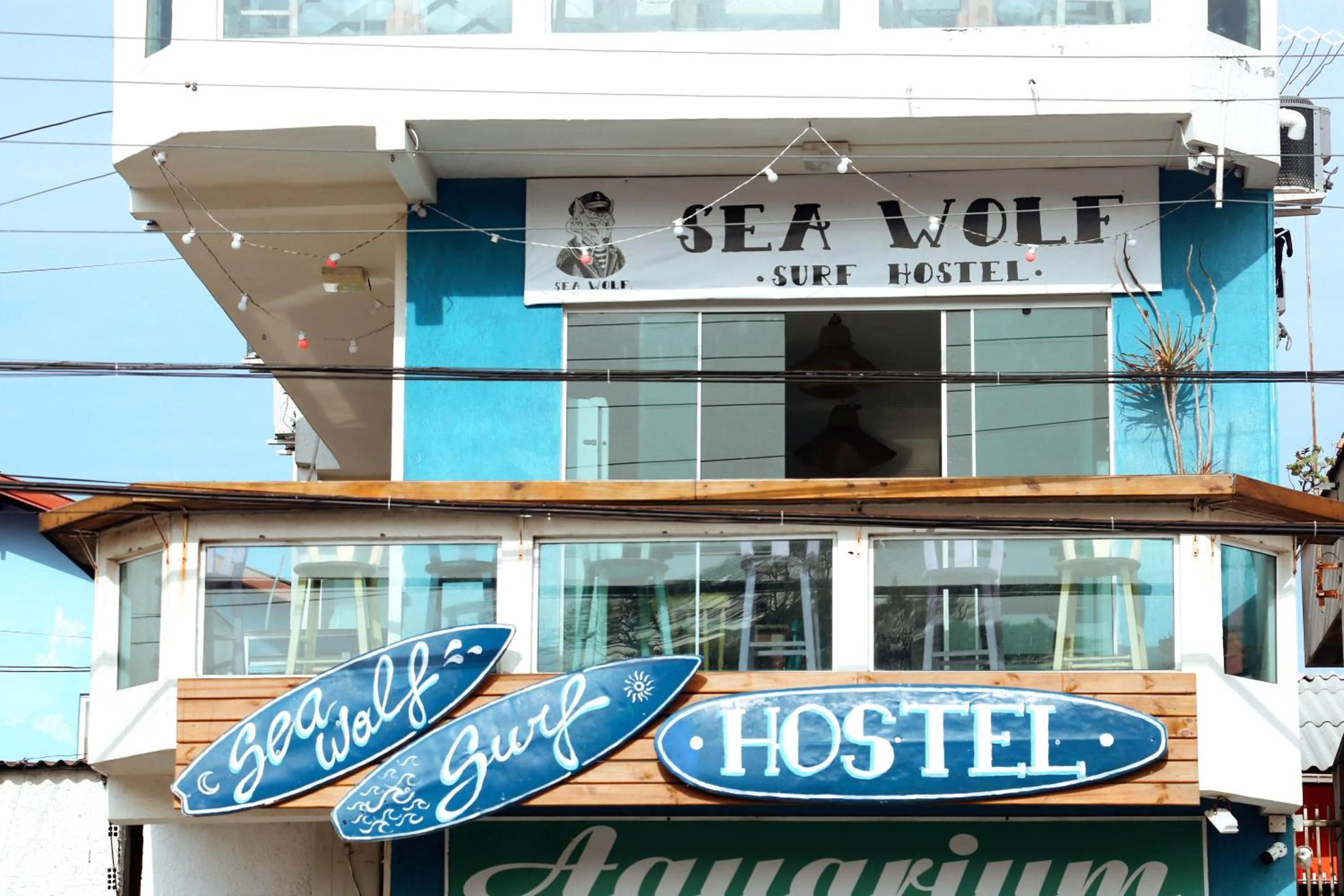 Sea Wolf Surf Hostel