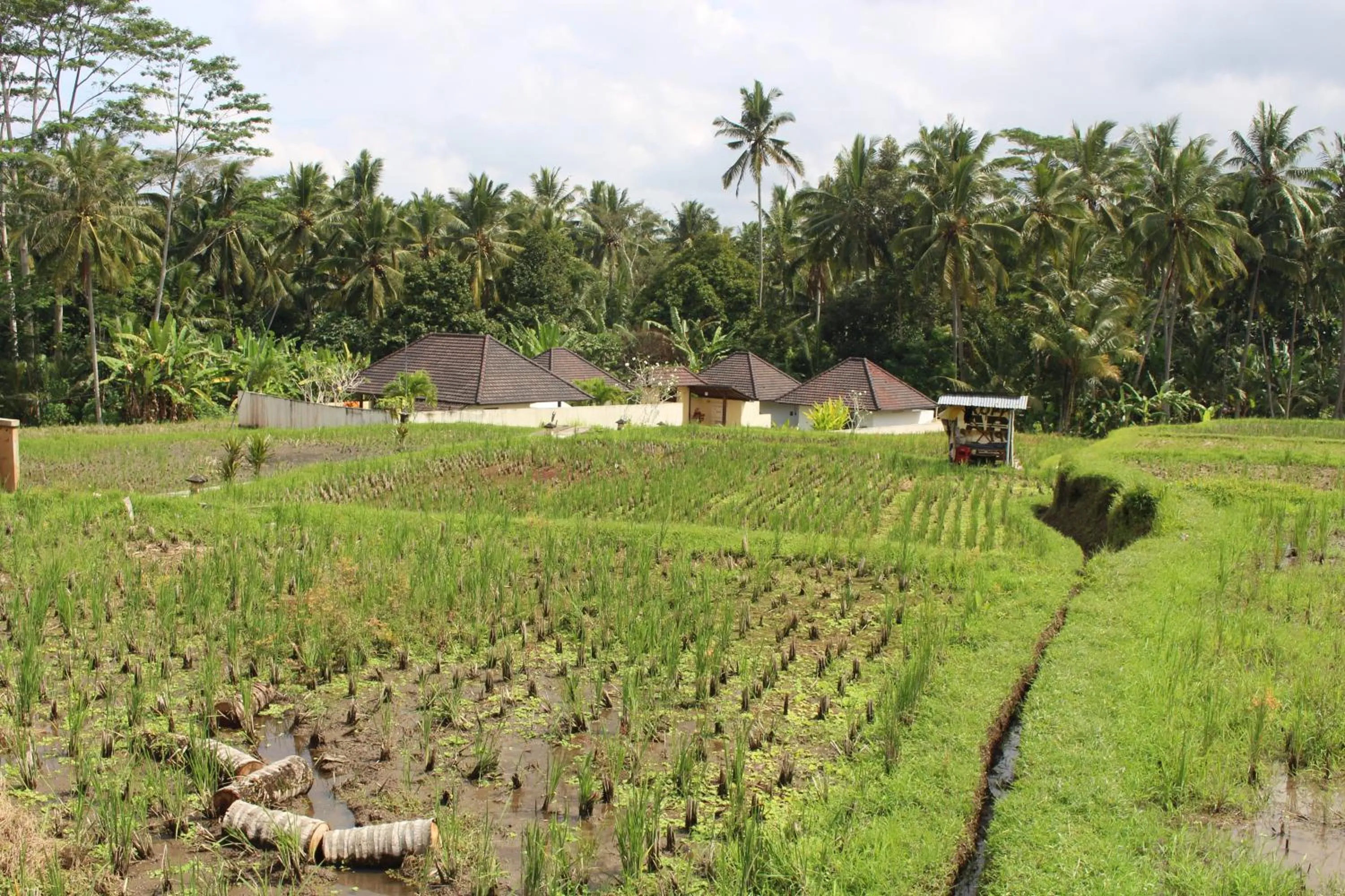 View (from property/room) in Uma Kama Villa