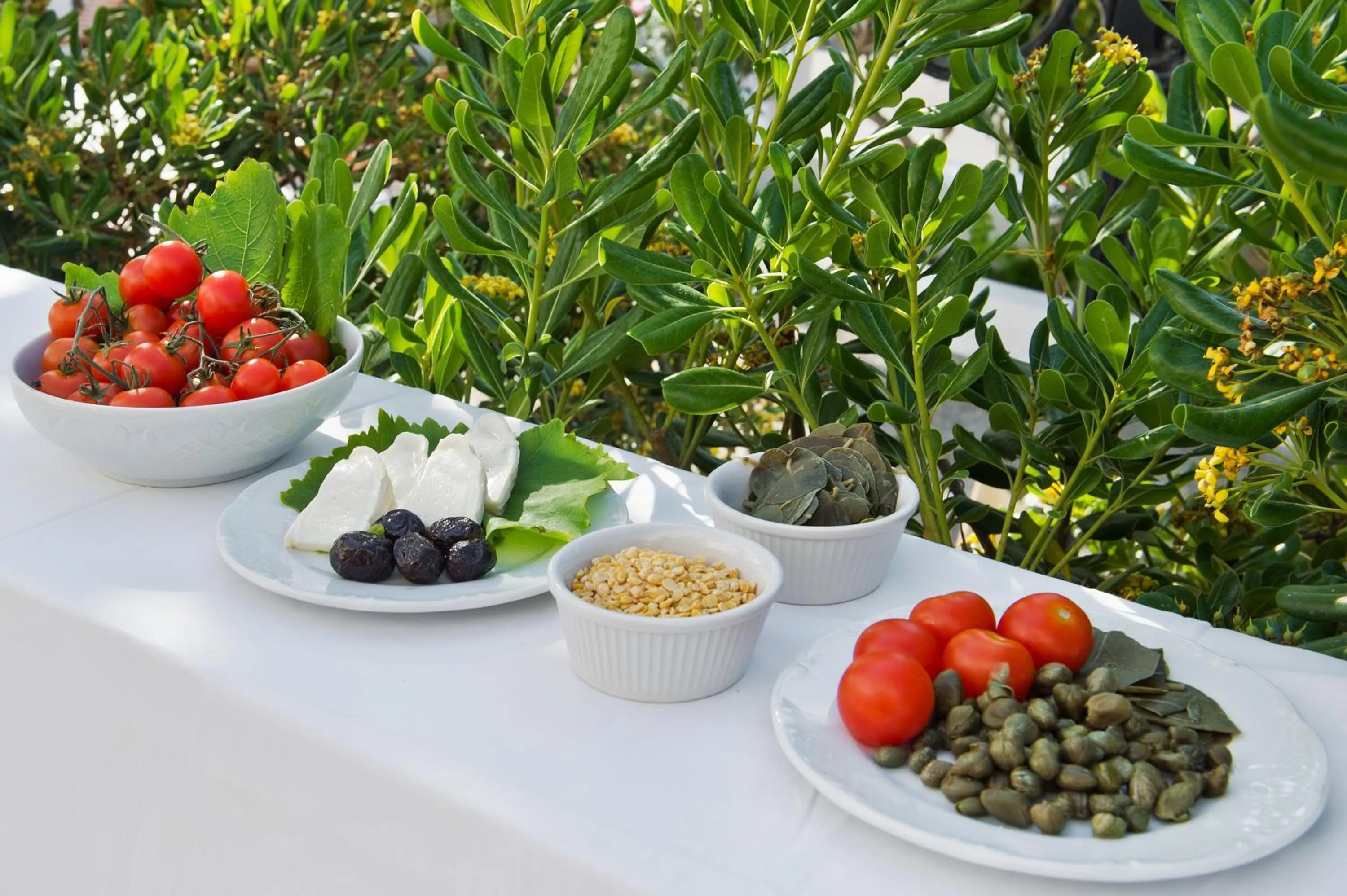 Lunch in Makarios Hotel