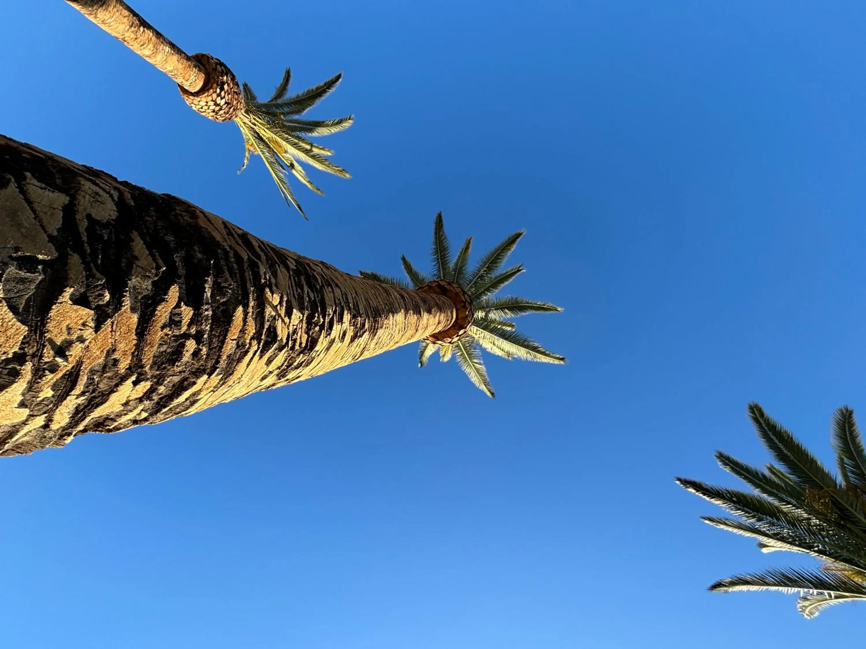 Day in Hermitage Hill Country Retreat