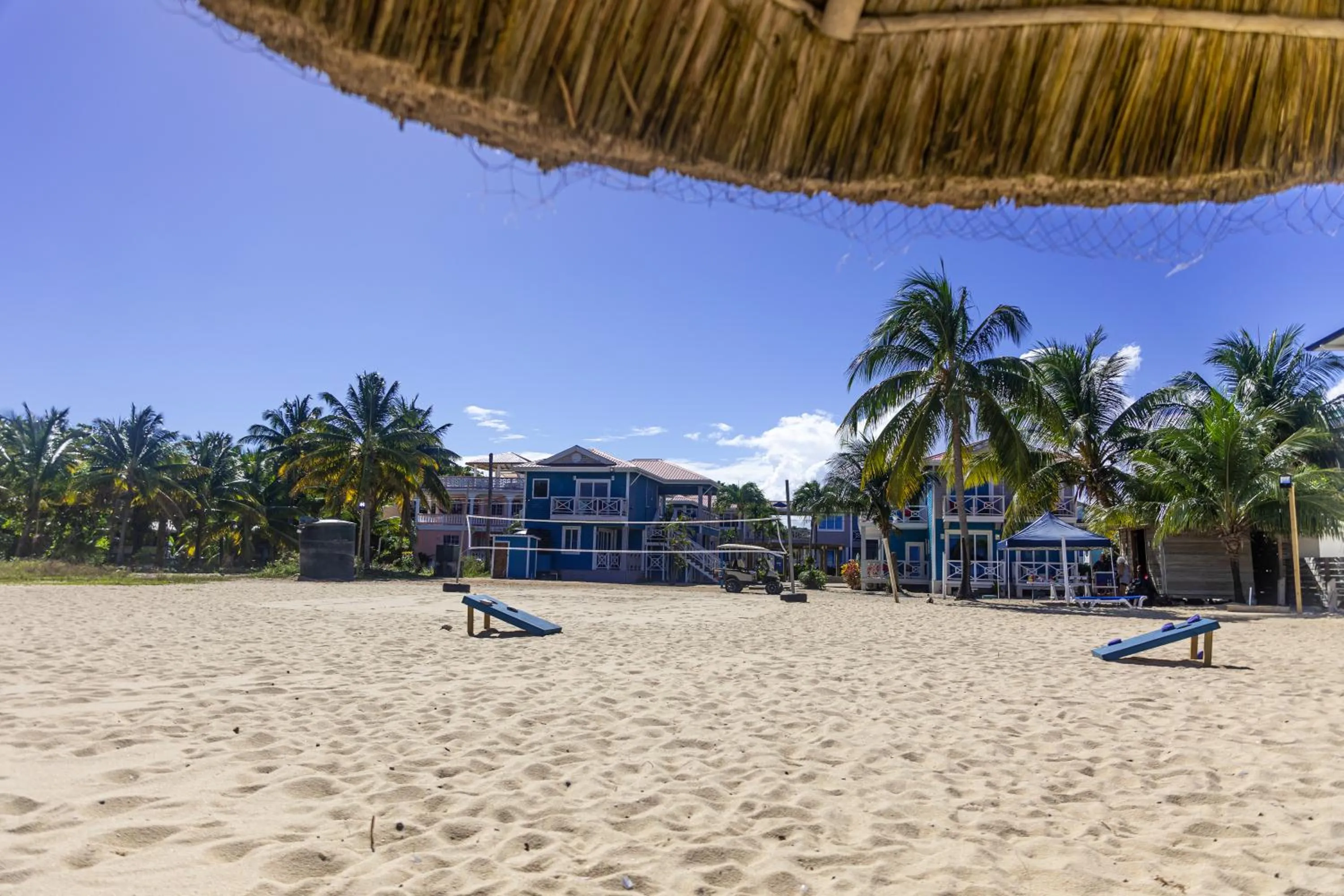 Natural landscape in Brisa Oceano Resort