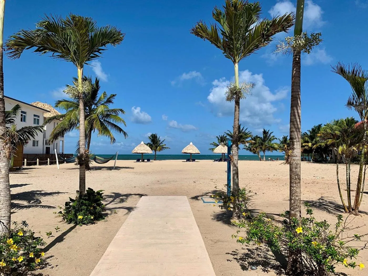 Natural landscape in Brisa Oceano Resort