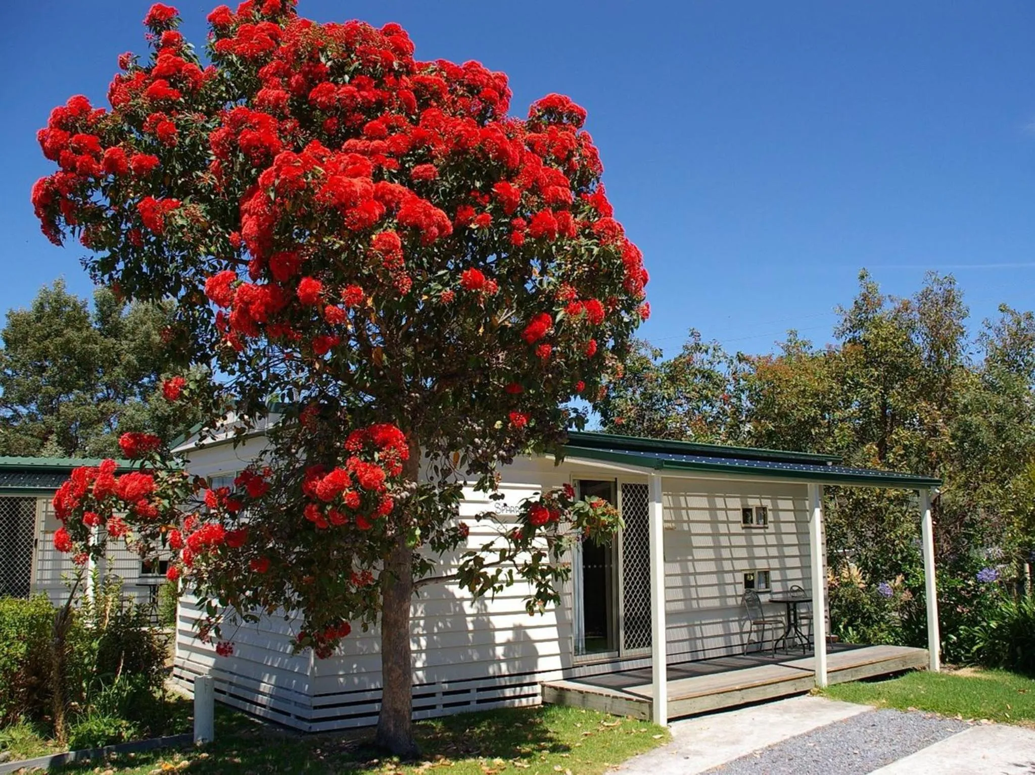 Beauty Point Tourist Park