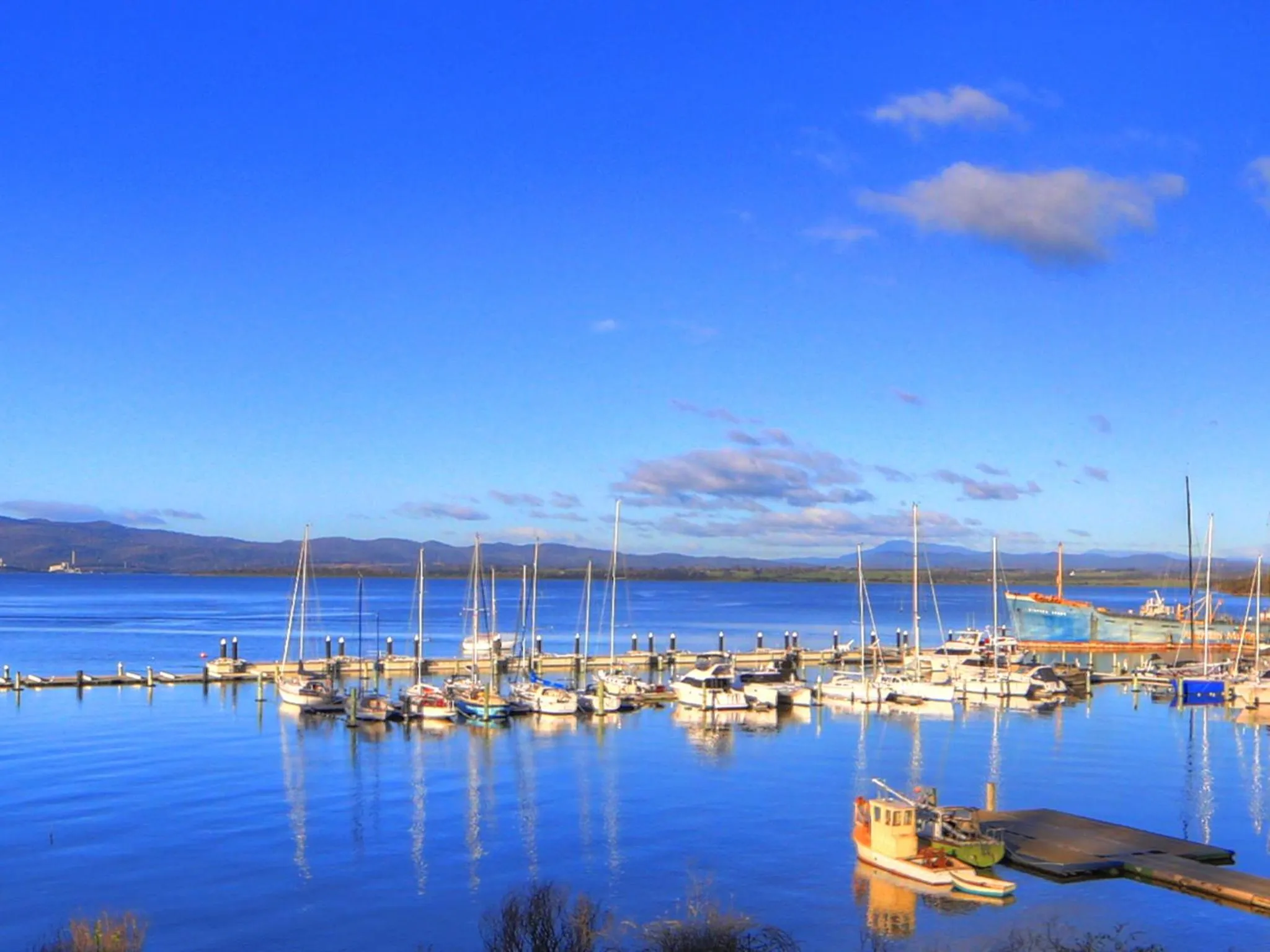Natural landscape in Beauty Point Tourist Park