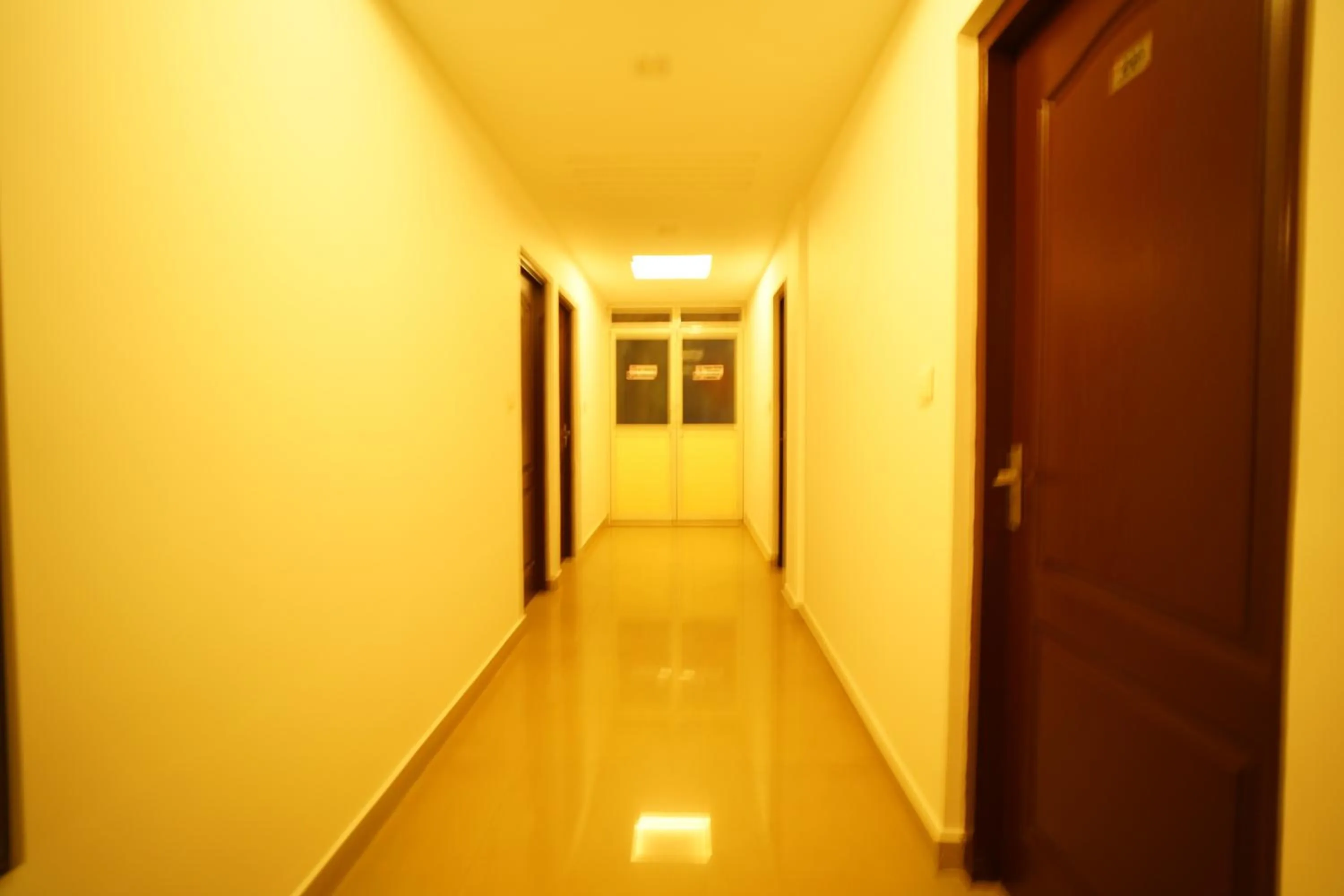 Property building in North Centre