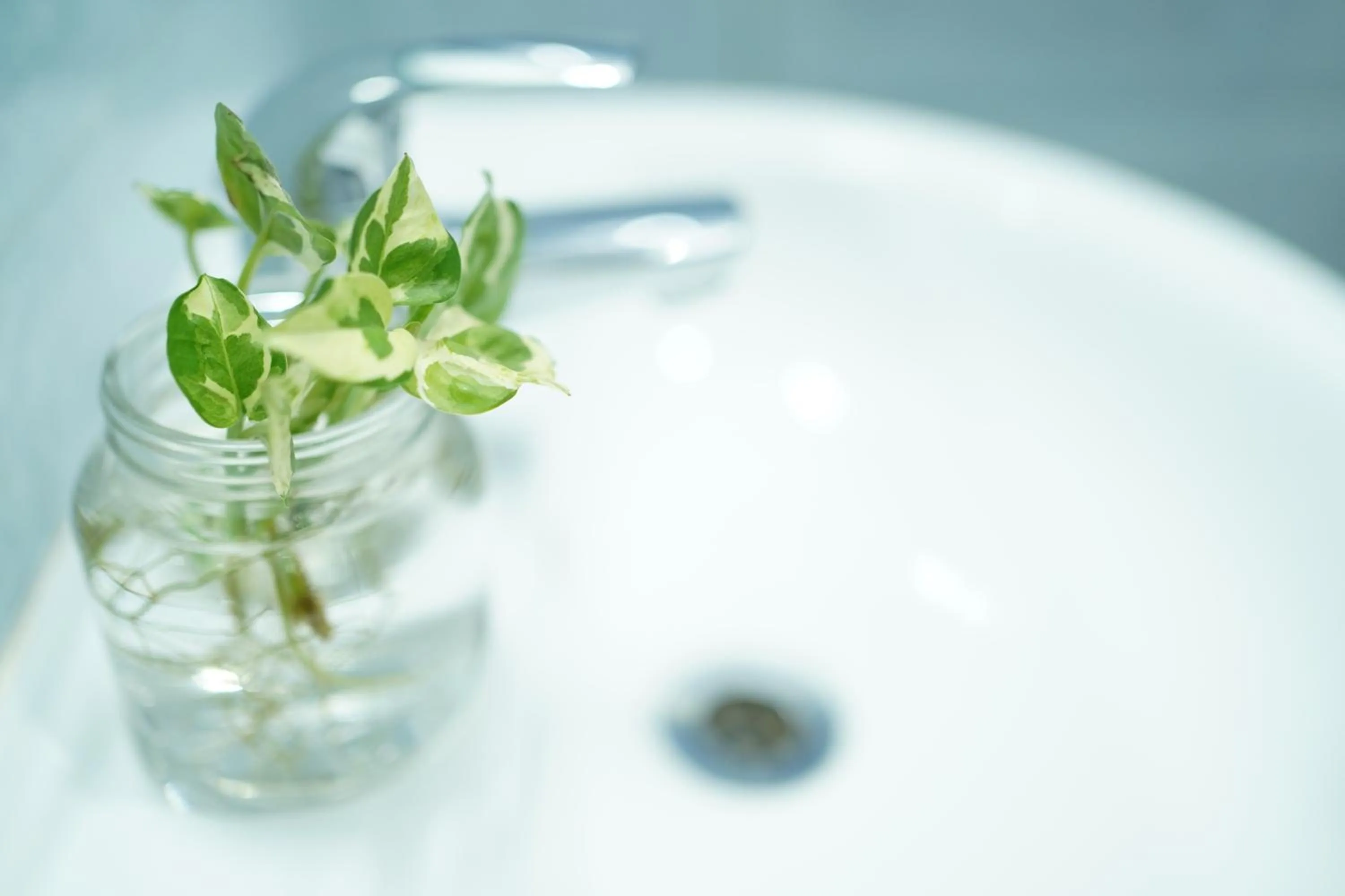 Bathroom in North Centre