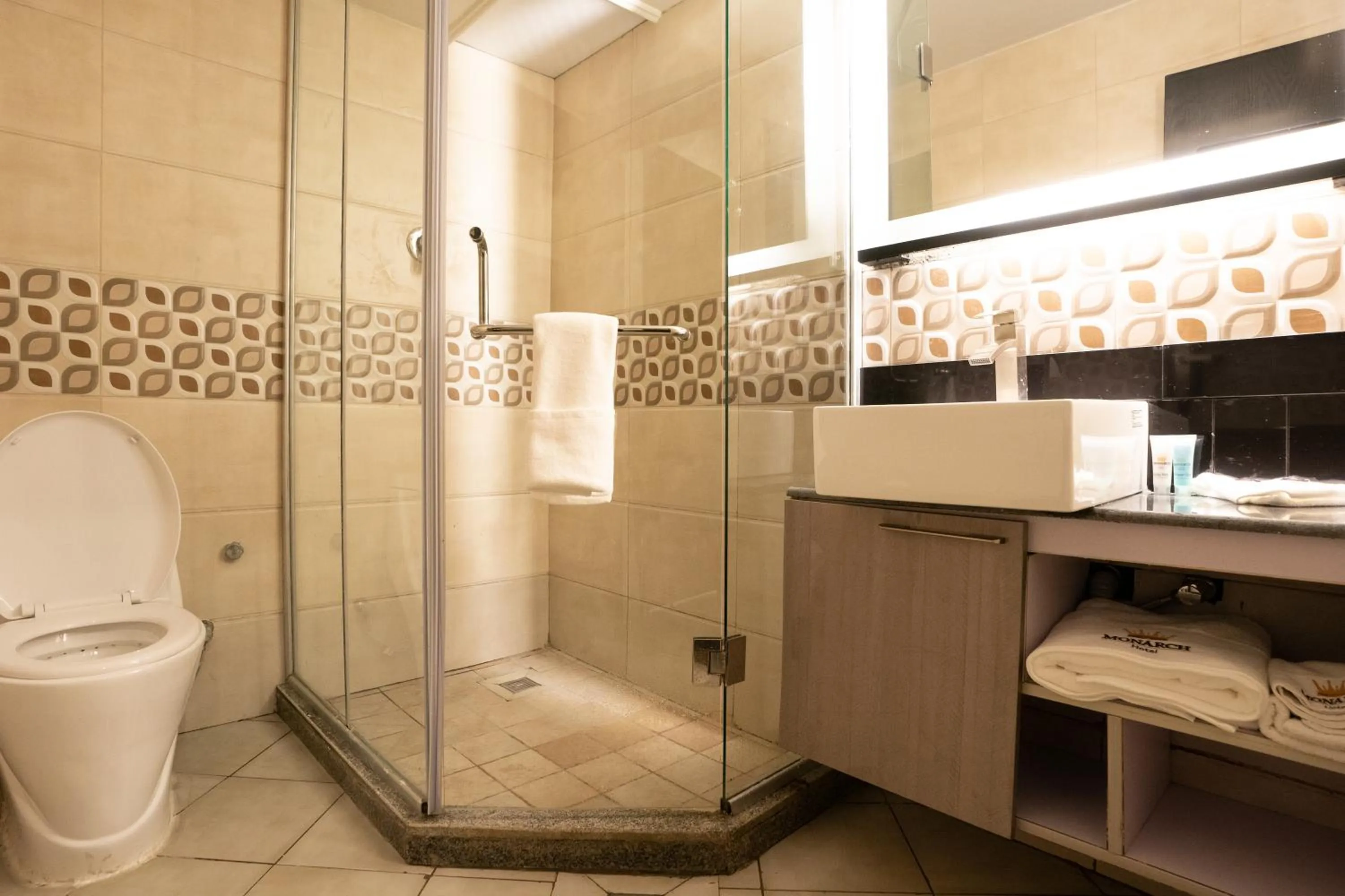 Toilet in Monarch Hotel