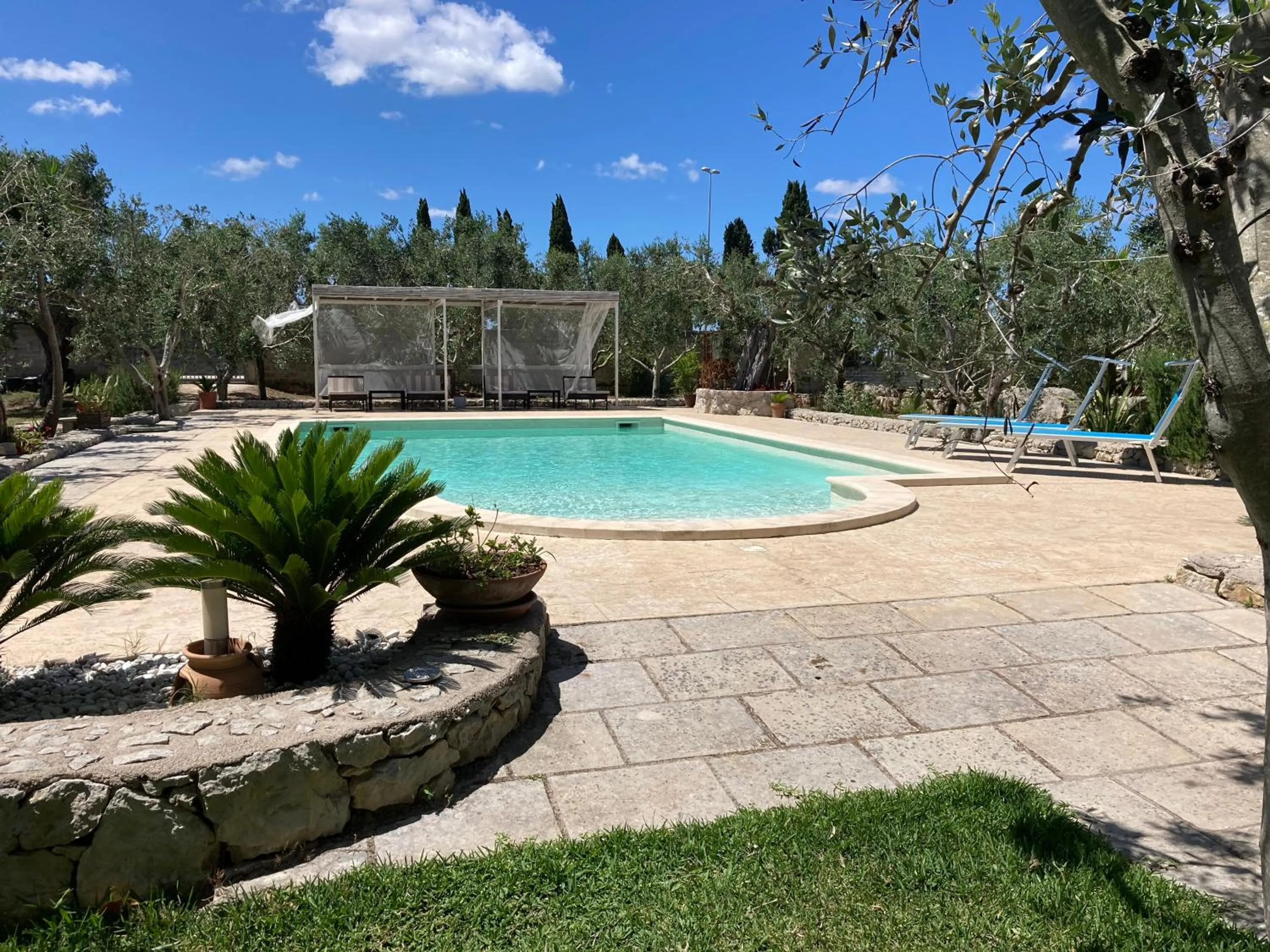Swimming pool in B&B Tenuta la Cornula
