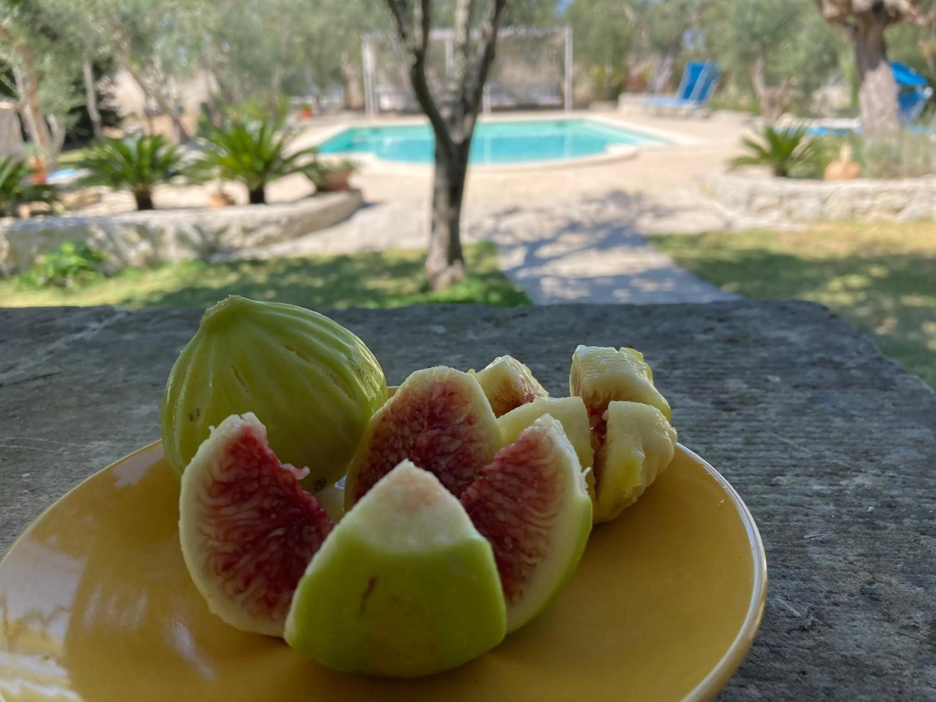 Swimming pool in B&B Tenuta la Cornula