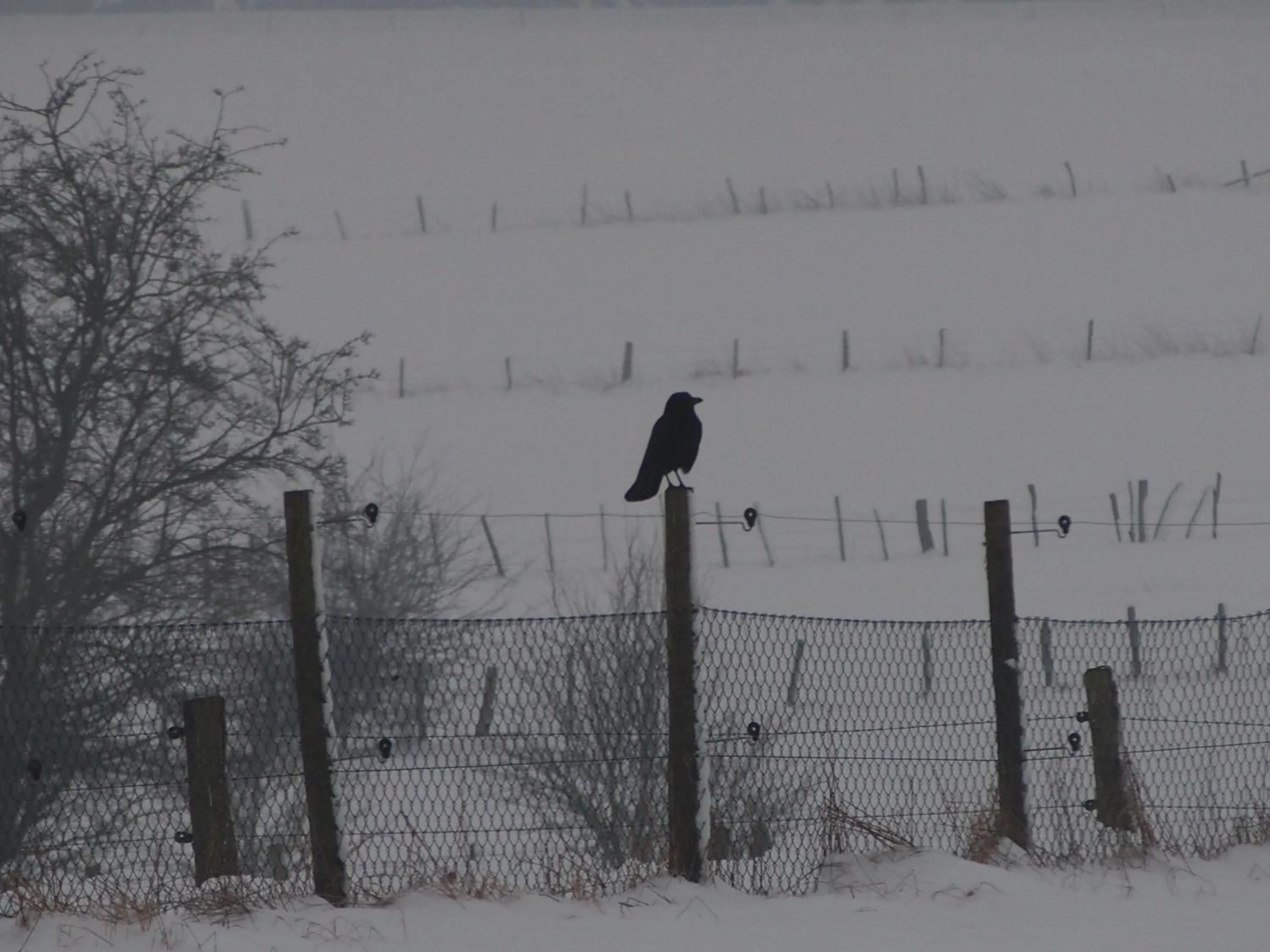 Other in B&B La Chabetaine