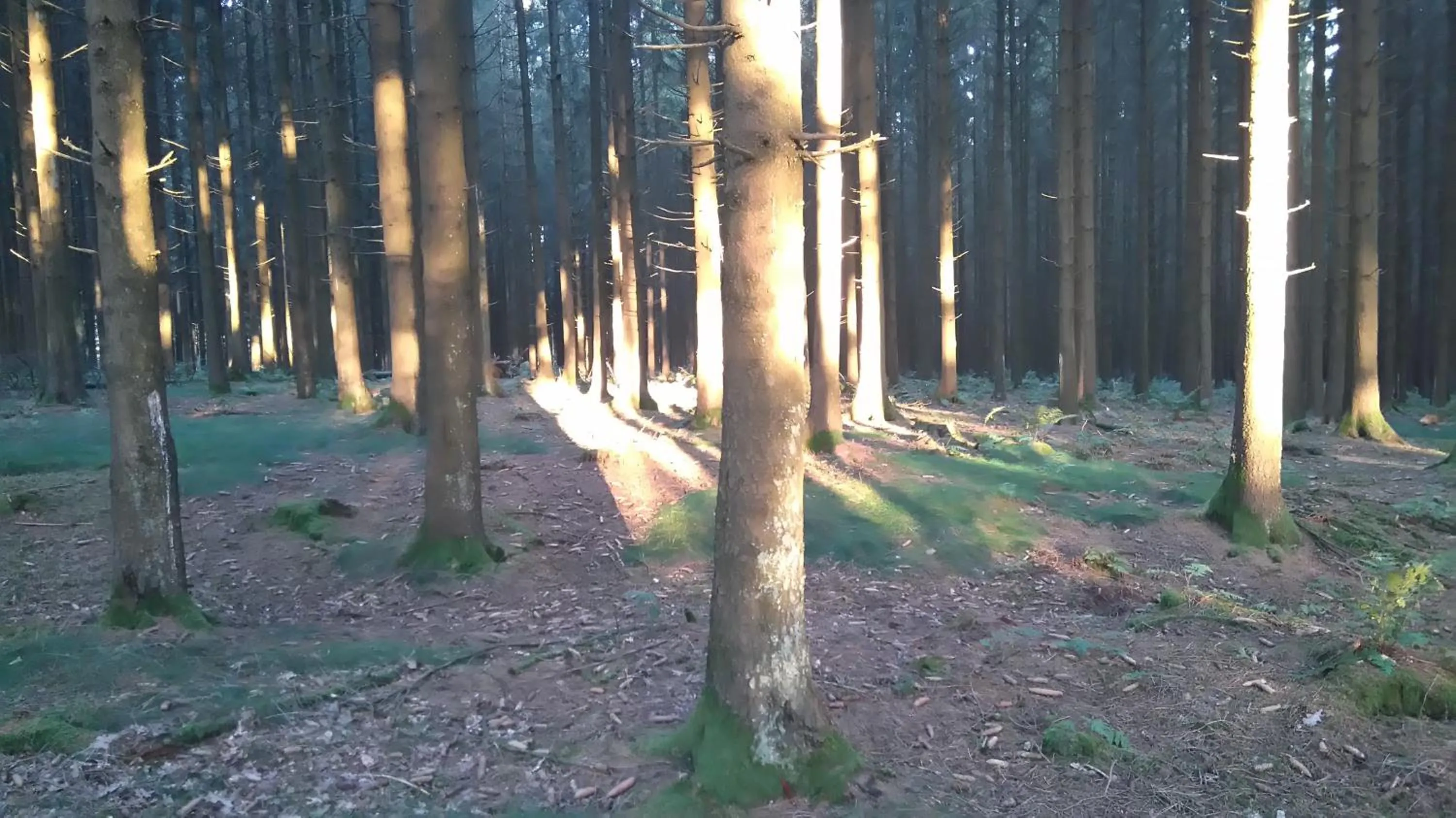 Other in B&B La Chabetaine