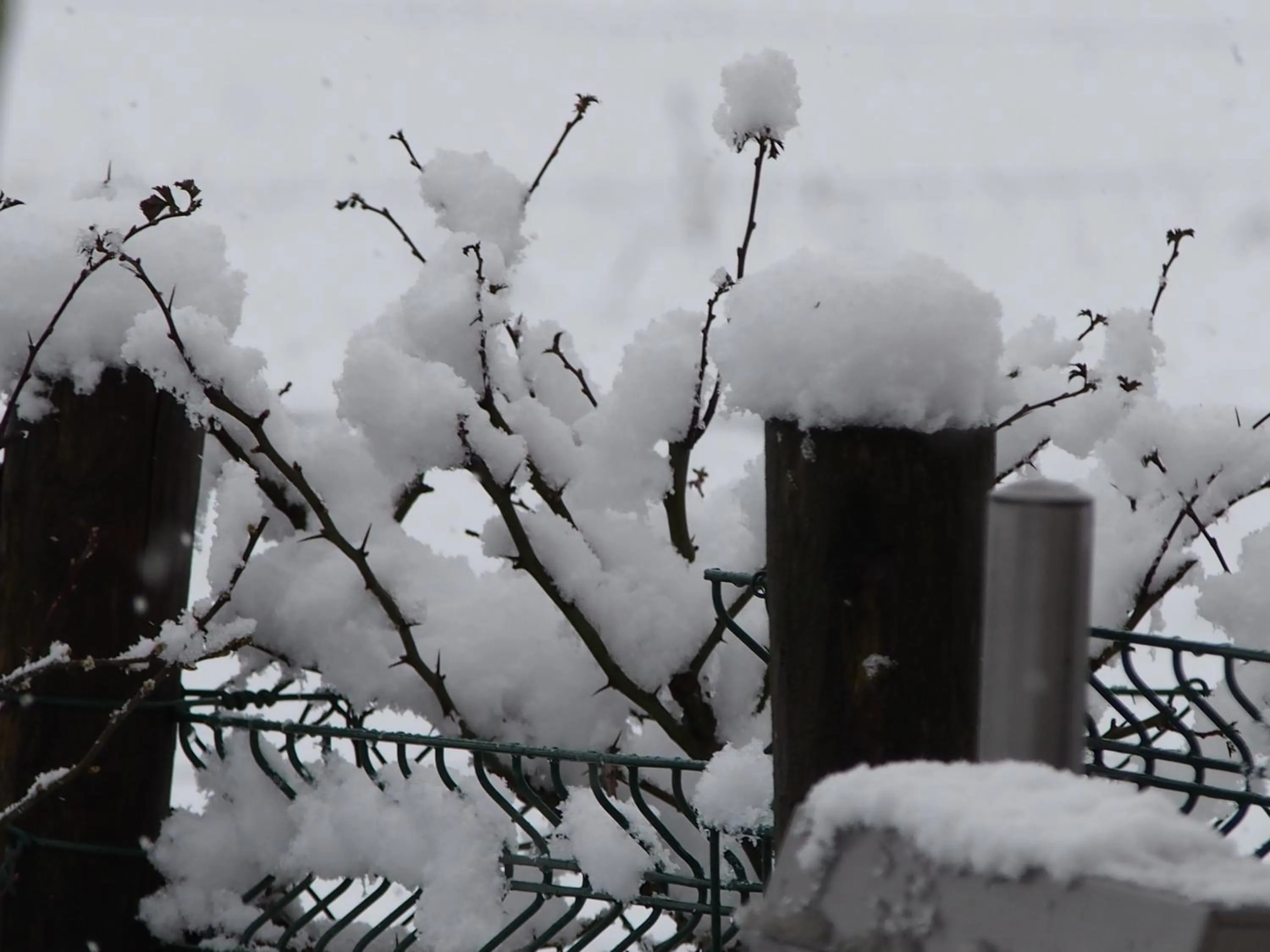 Winter in B&B La Chabetaine