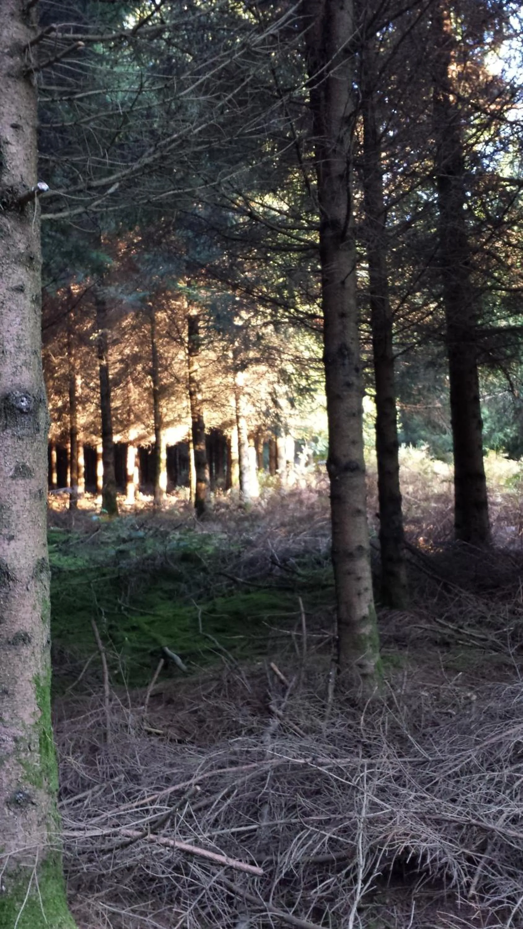 Other in B&B La Chabetaine