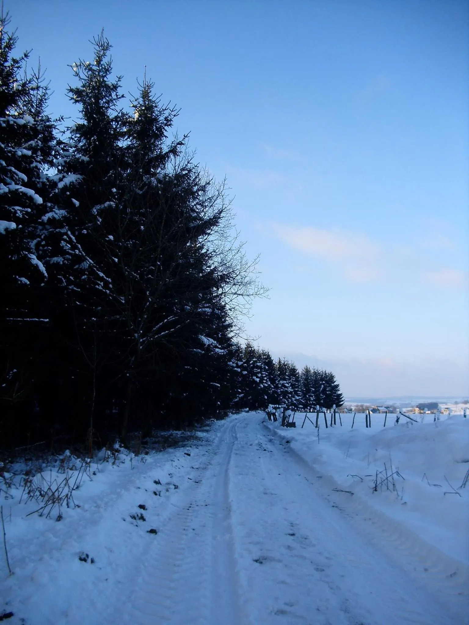 Hiking in B&B La Chabetaine