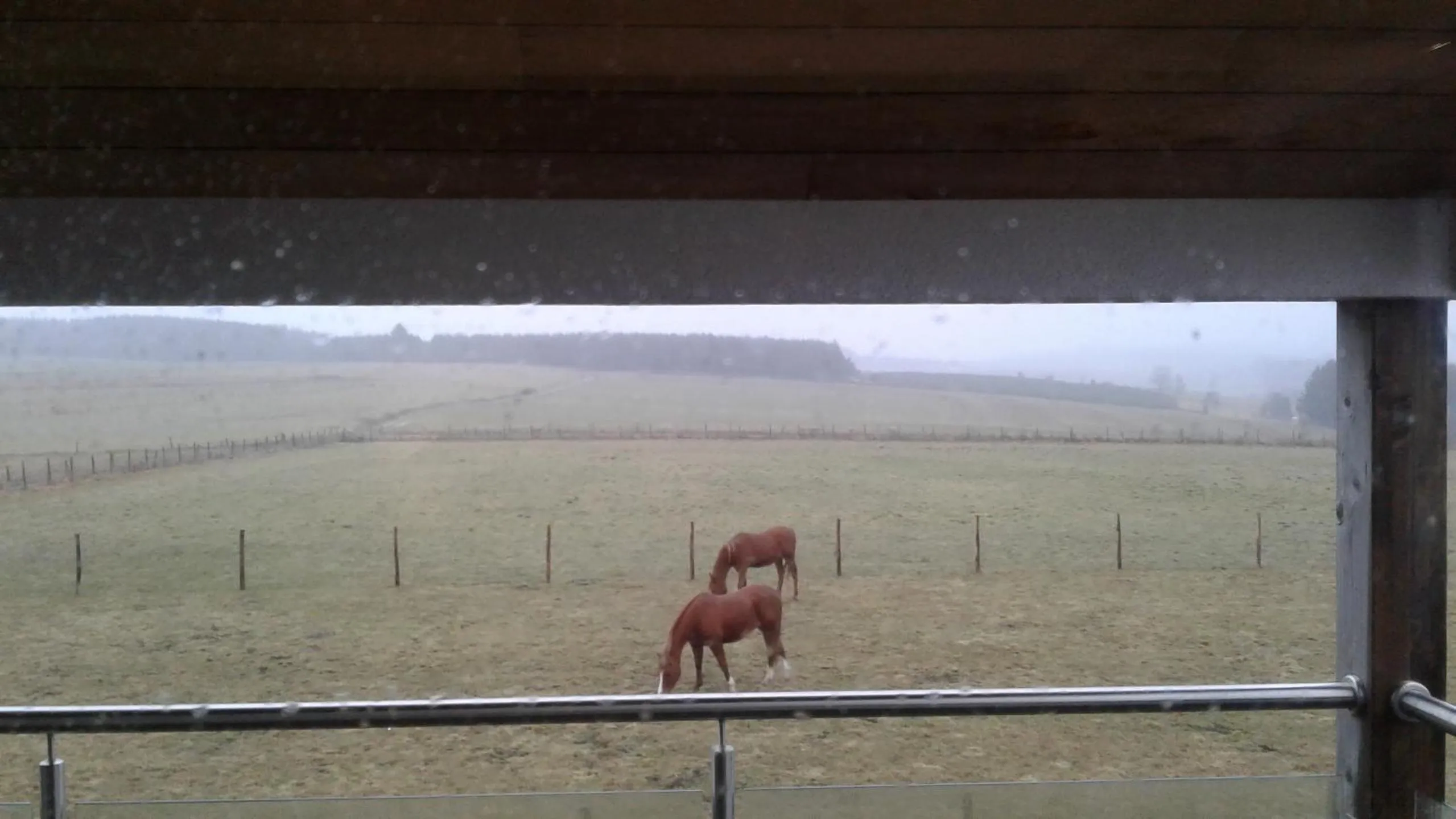 View (from property/room) in B&B La Chabetaine