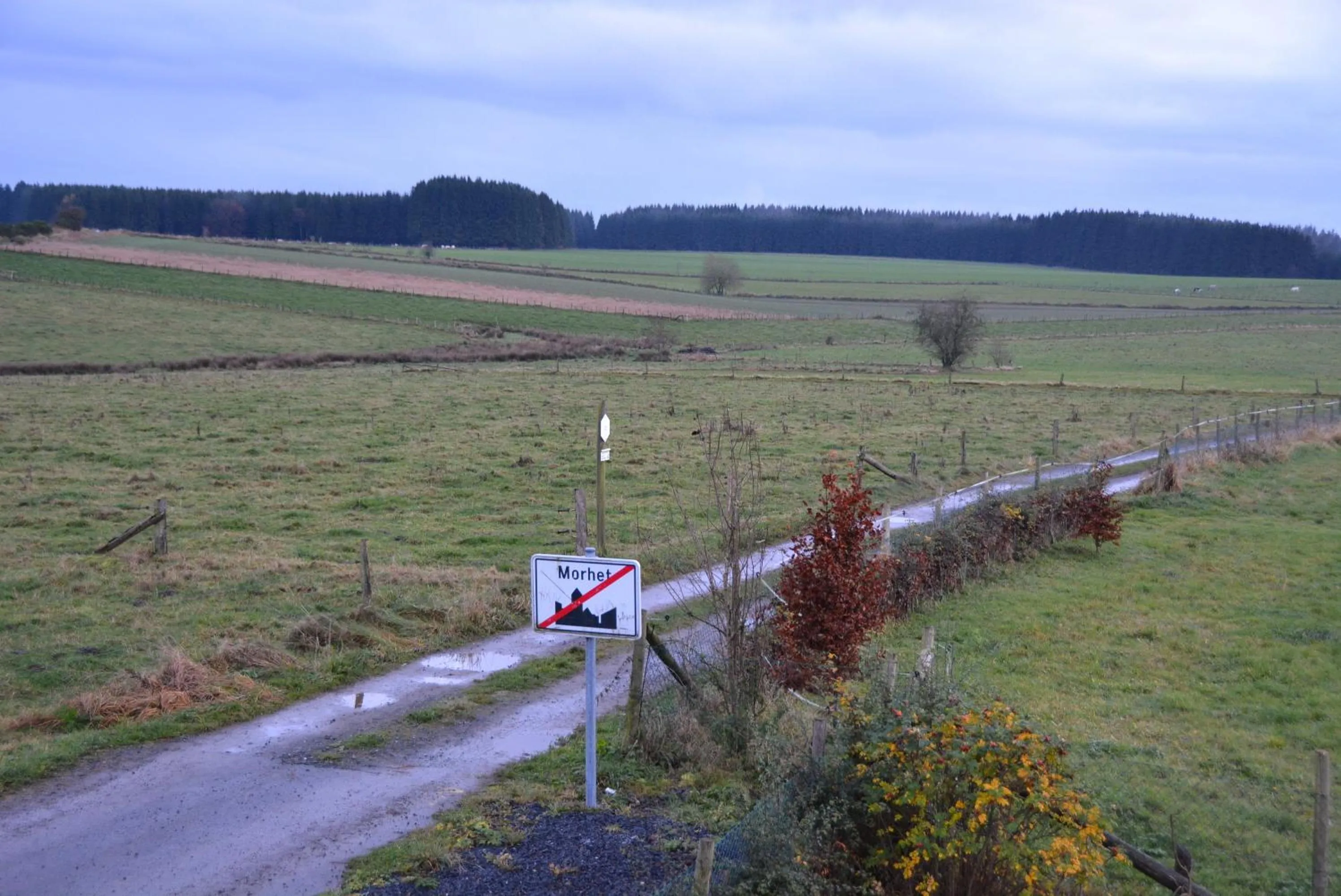 View (from property/room) in B&B La Chabetaine