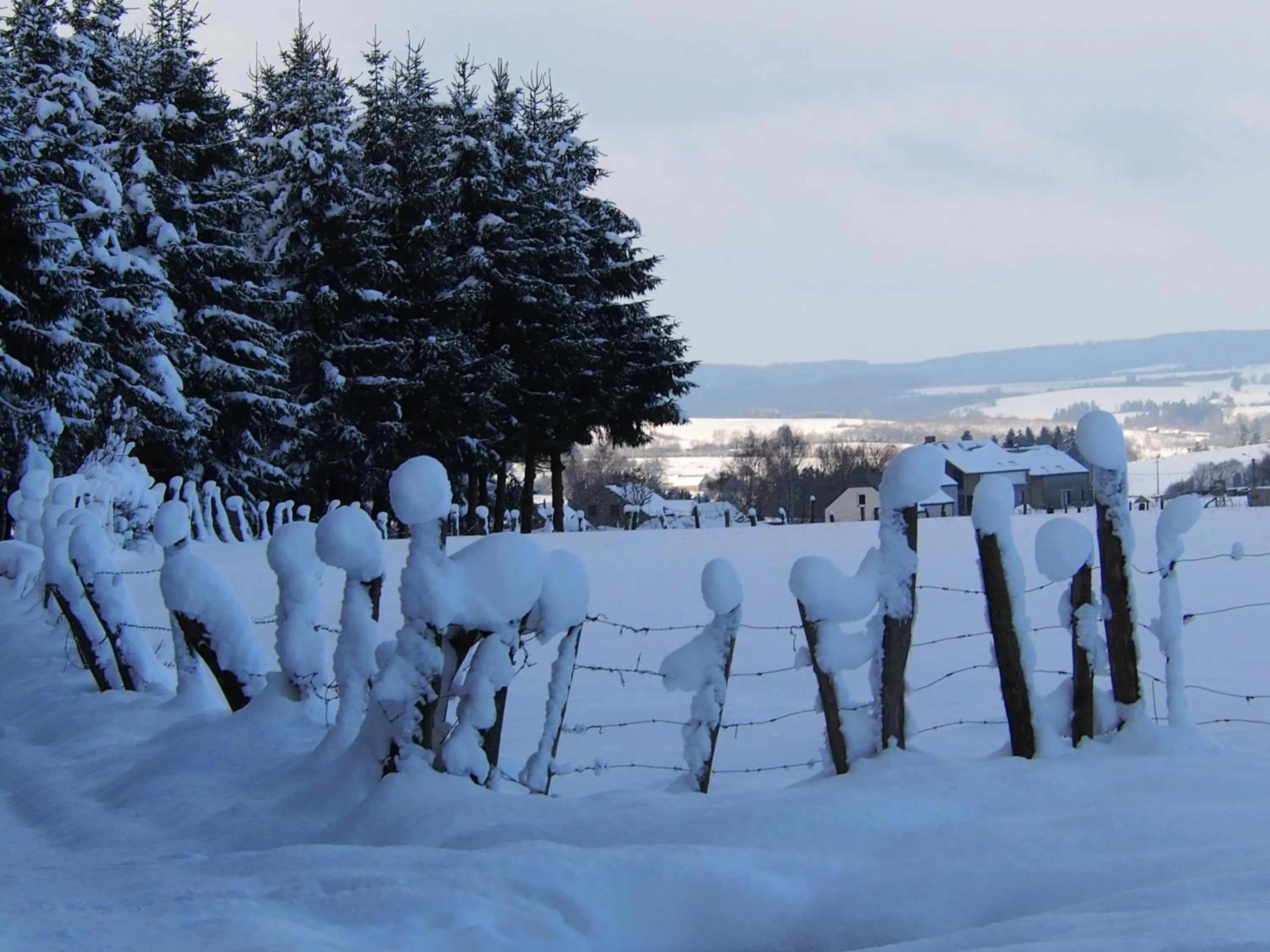 View (from property/room) in B&B La Chabetaine
