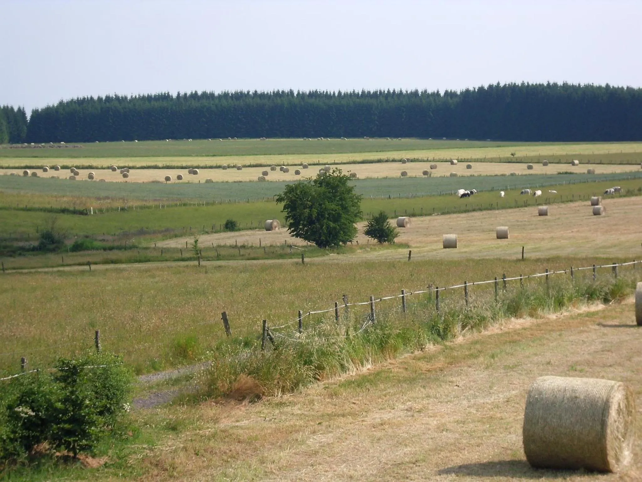 Summer in B&B La Chabetaine