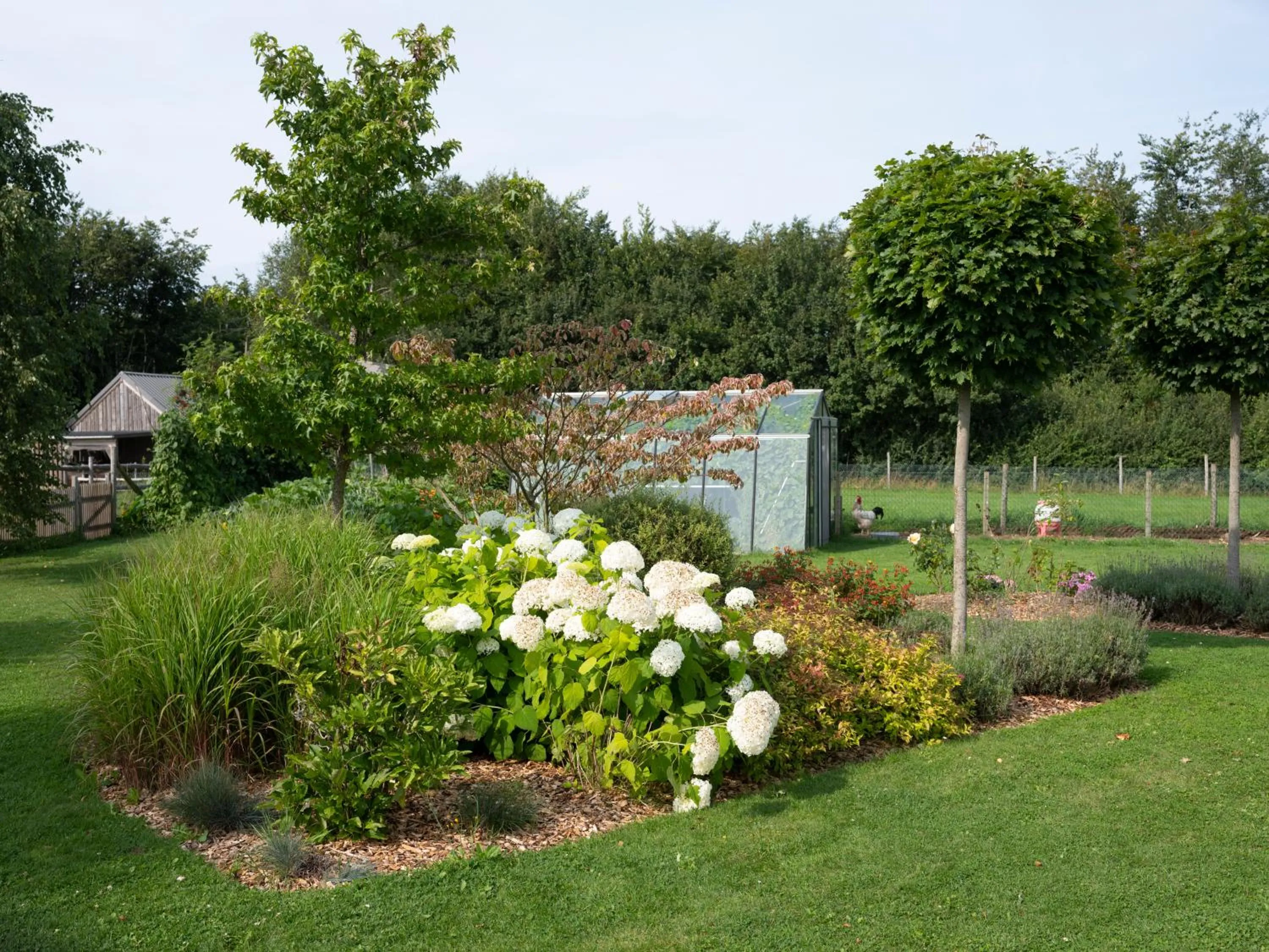 Natural landscape in B&B La Chabetaine