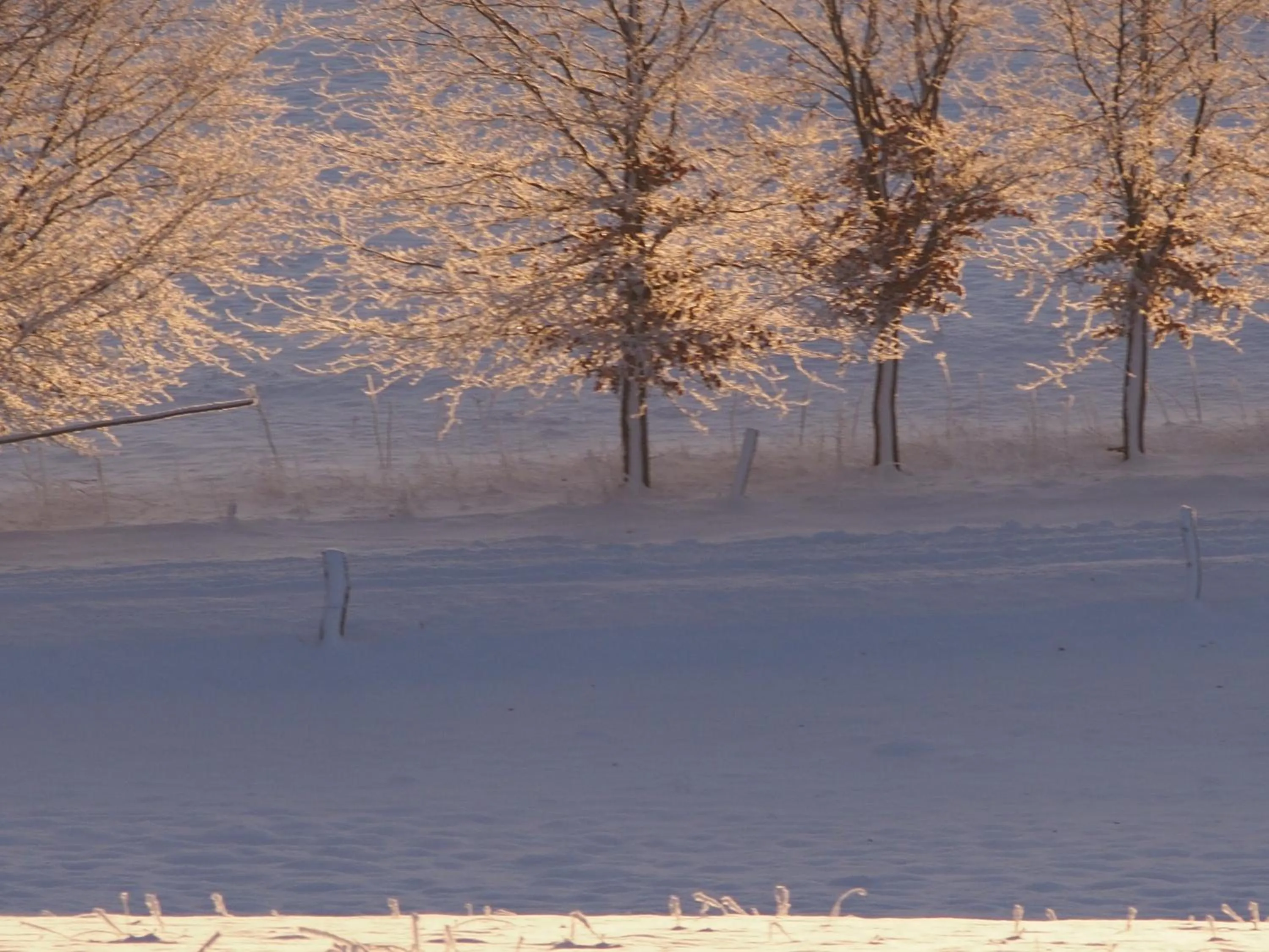 Off site in B&B La Chabetaine