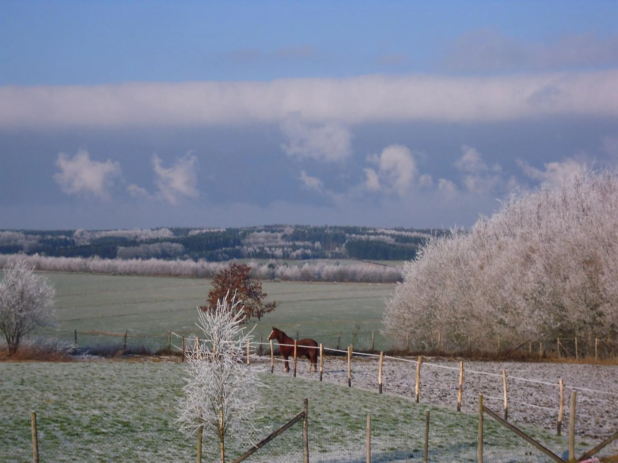 View (from property/room) in B&B La Chabetaine