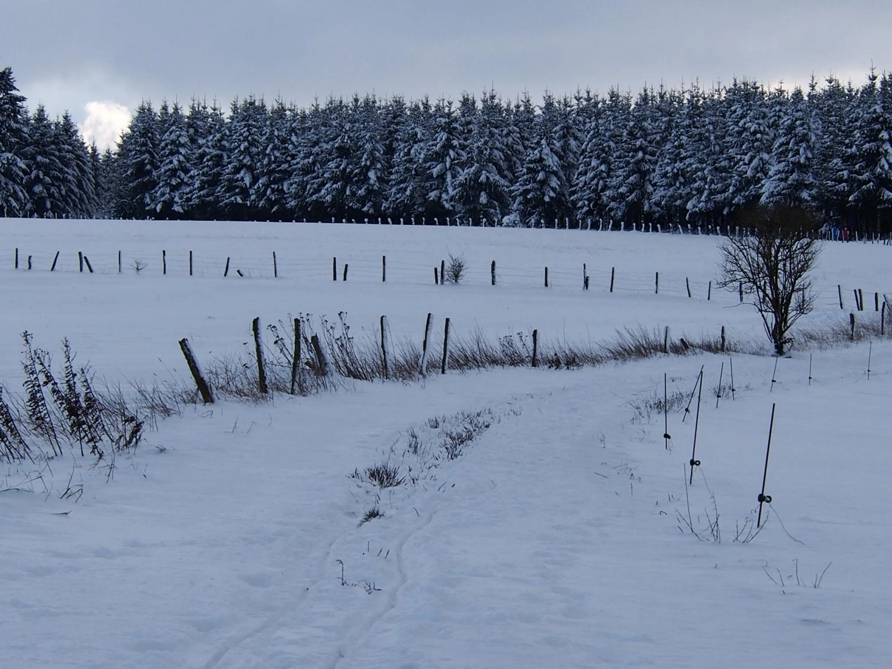 Off site in B&B La Chabetaine