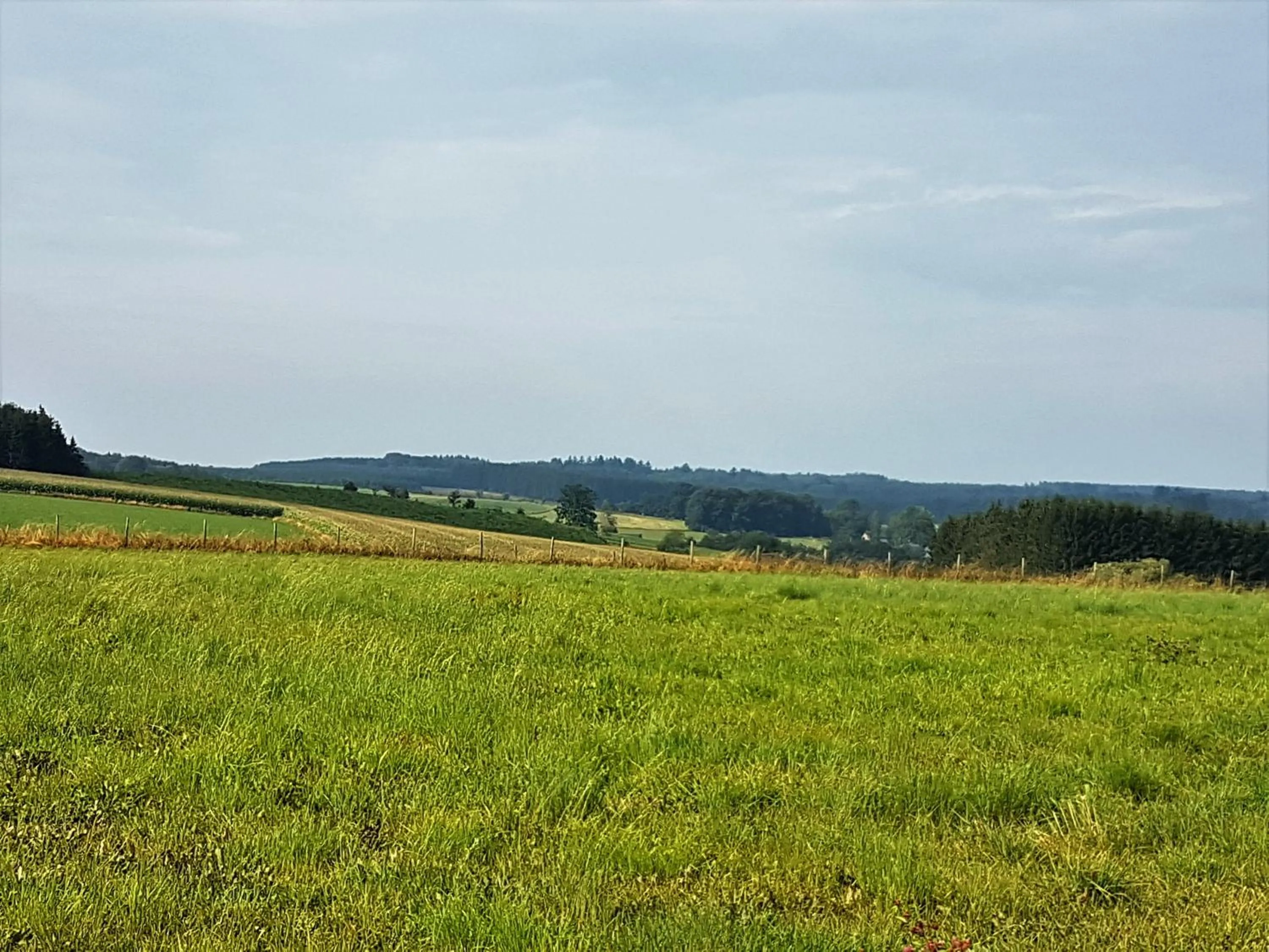 Summer in B&B La Chabetaine