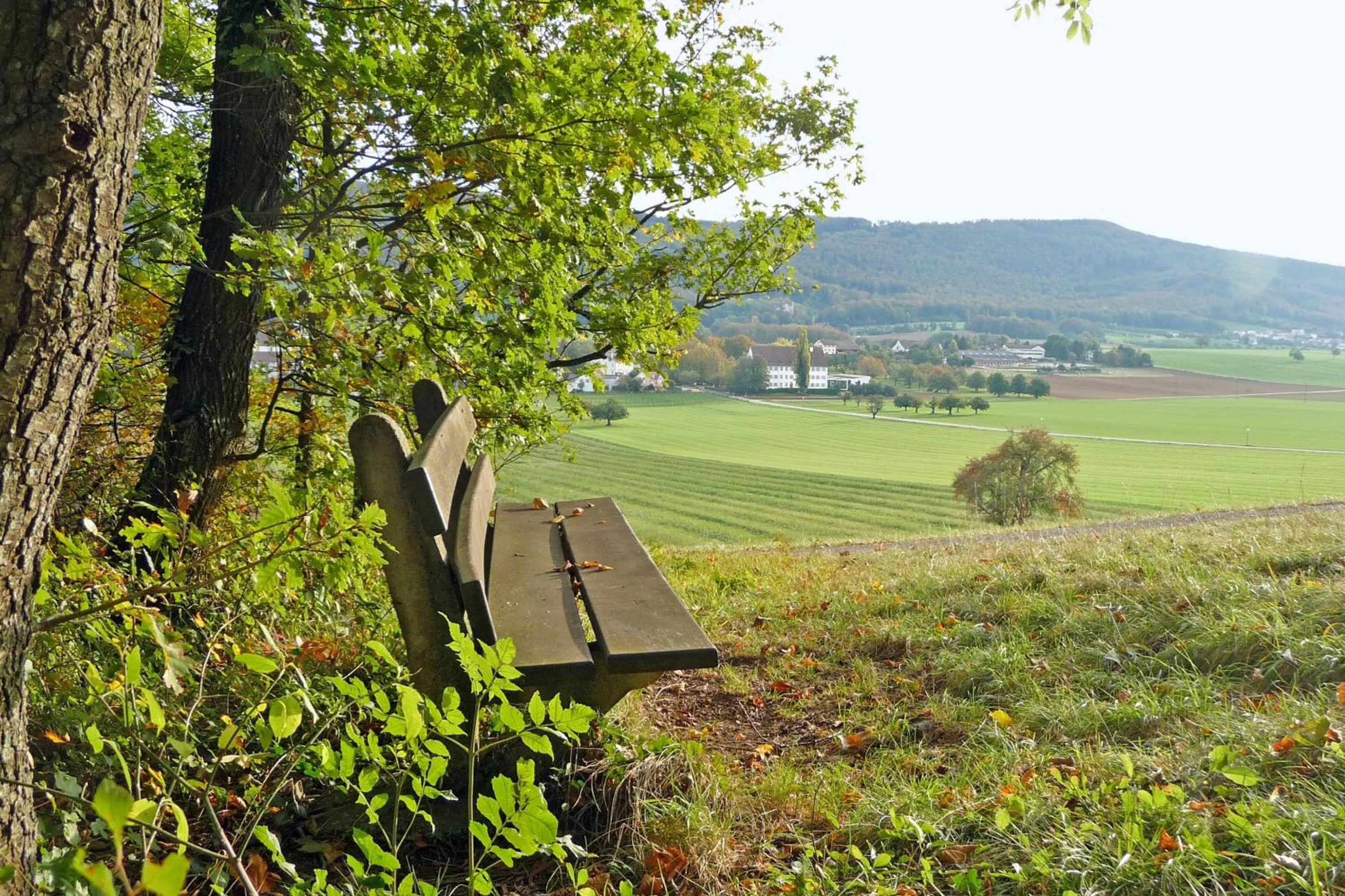 Natural landscape in Klosterhotel Kreuz