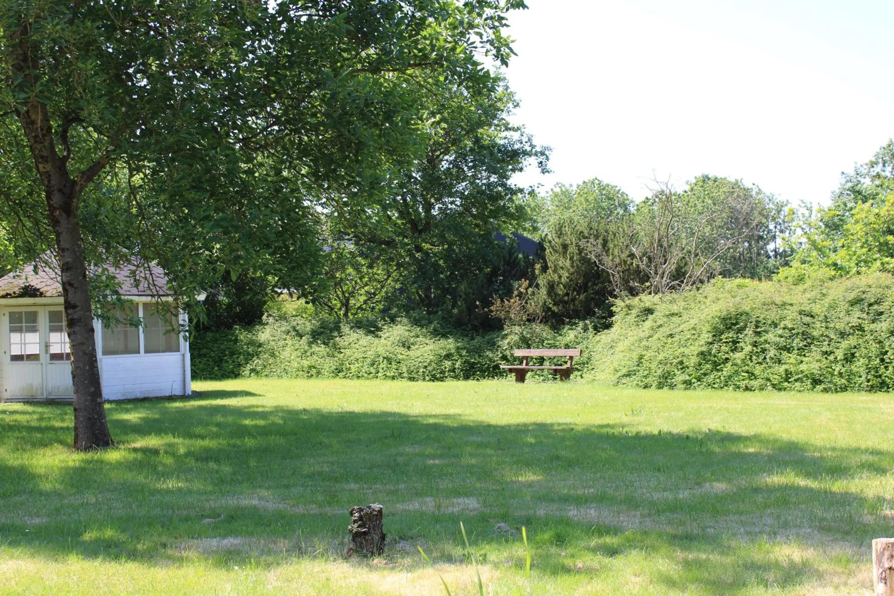 Garden in Hotel Traneparken